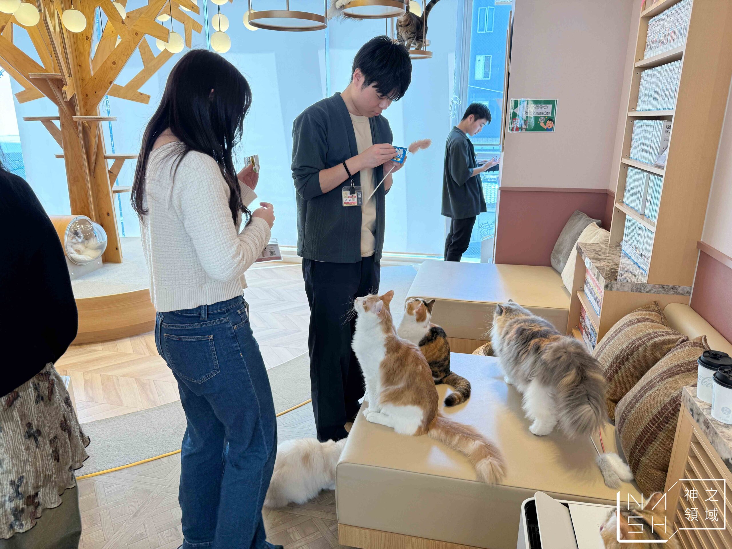 MOCHA CAT CAFE天神大名店