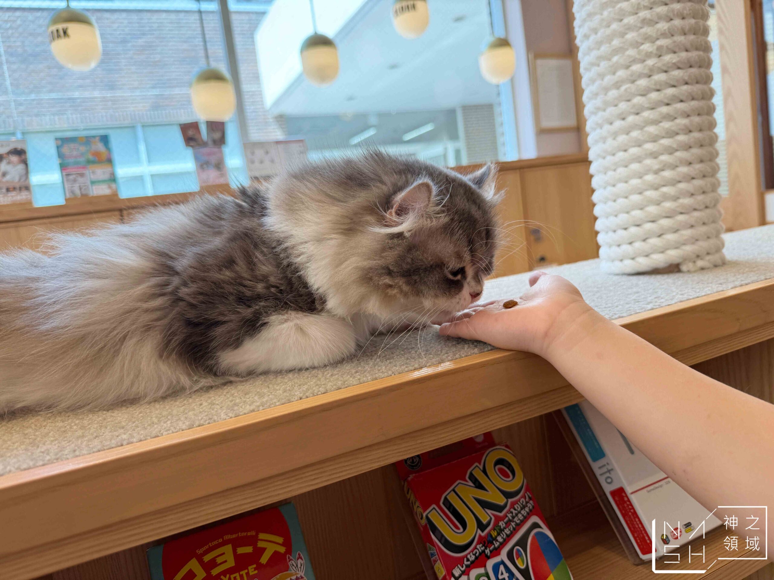 MOCHA CAT CAFE天神大名店