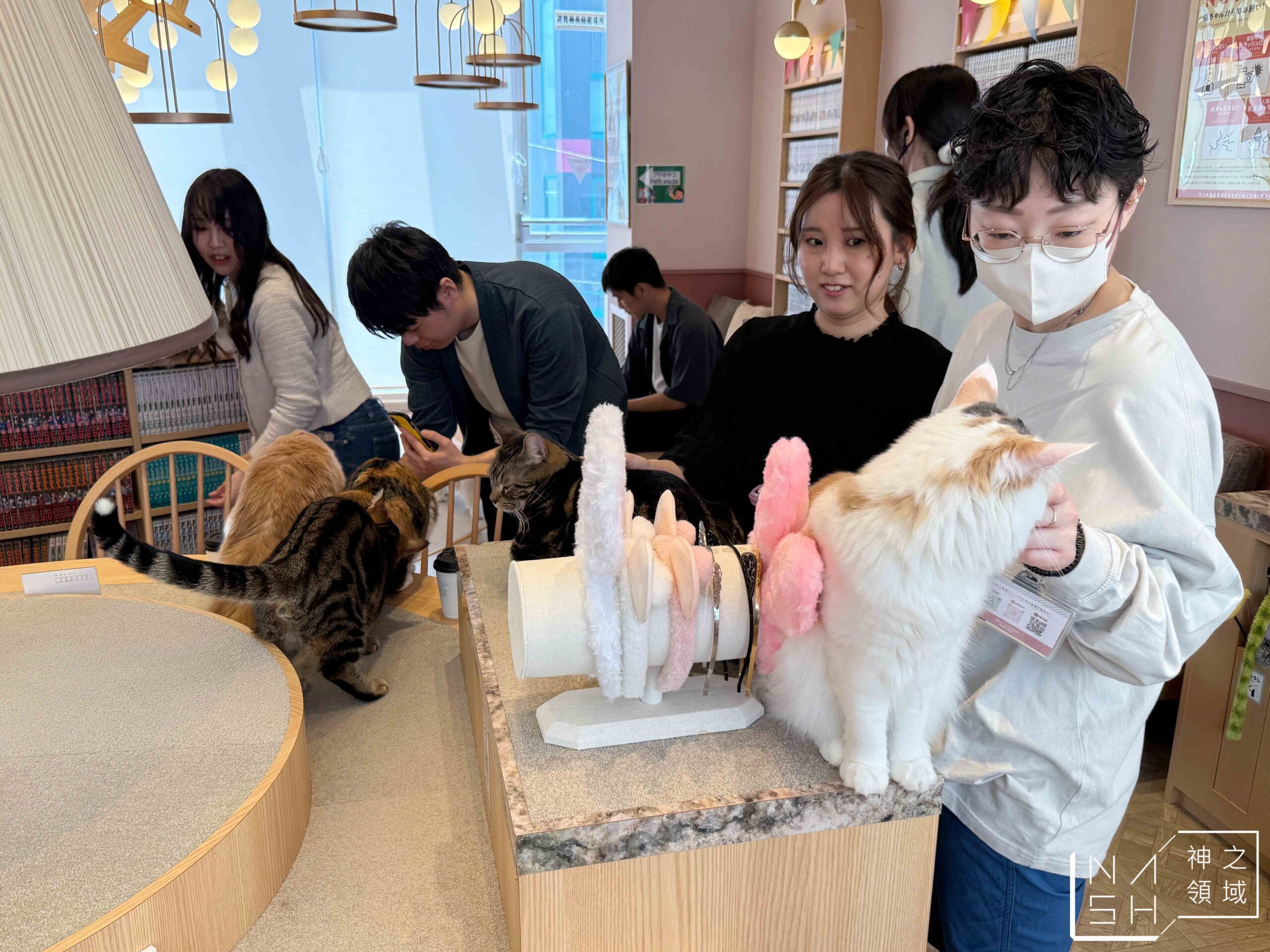 MOCHA CAT CAFE天神大名店