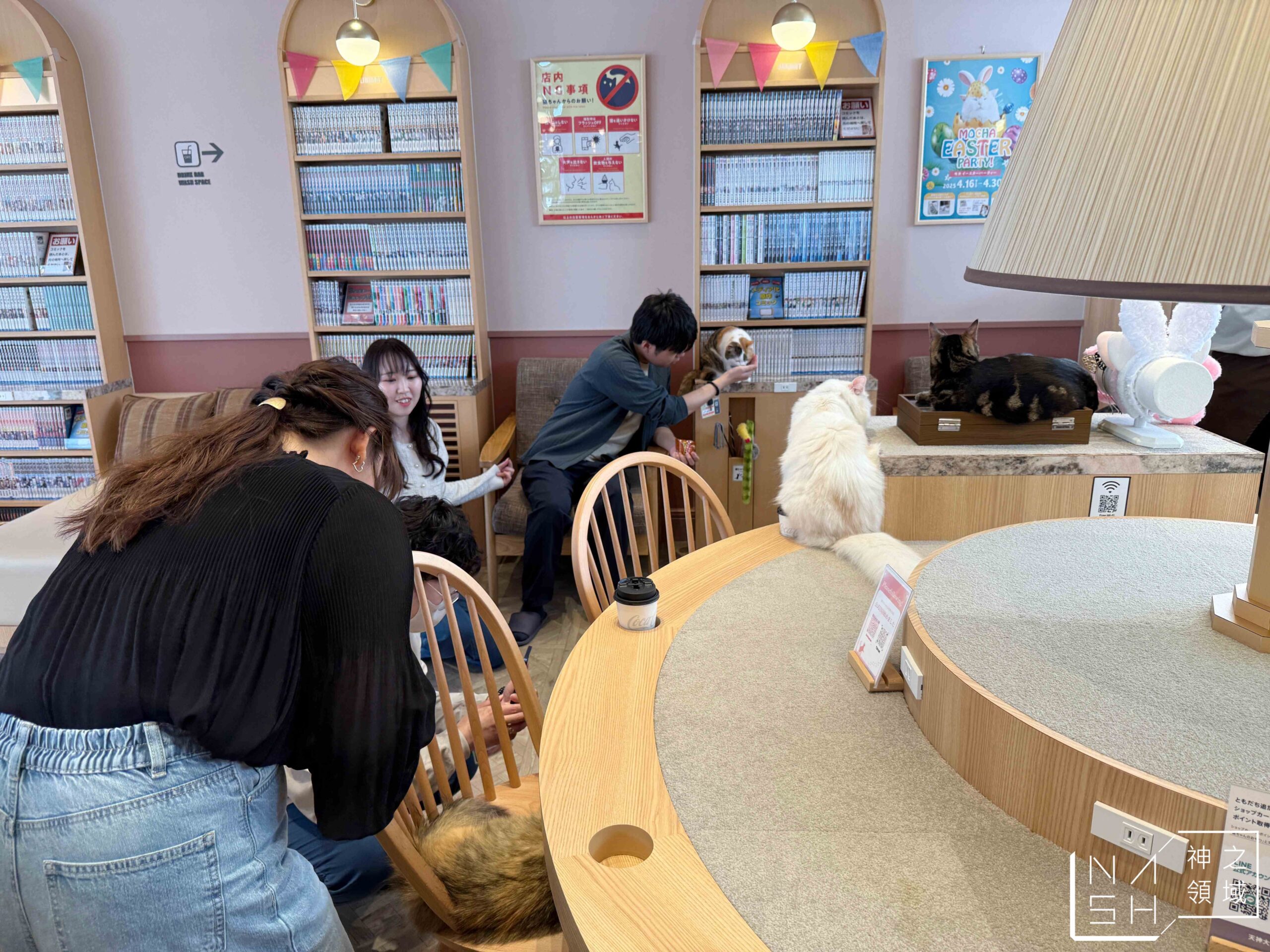 MOCHA CAT CAFE天神大名店