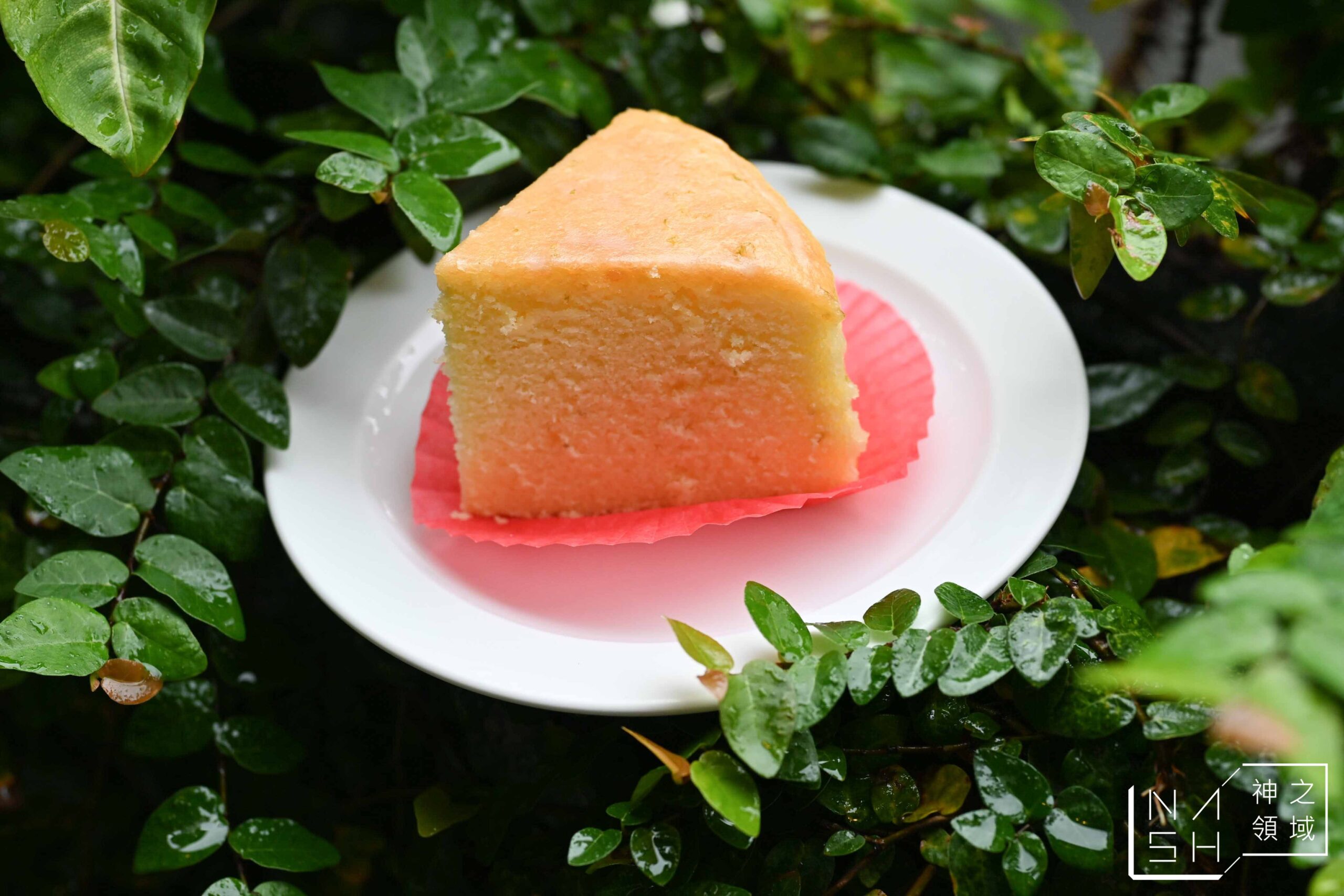 食聚咖啡