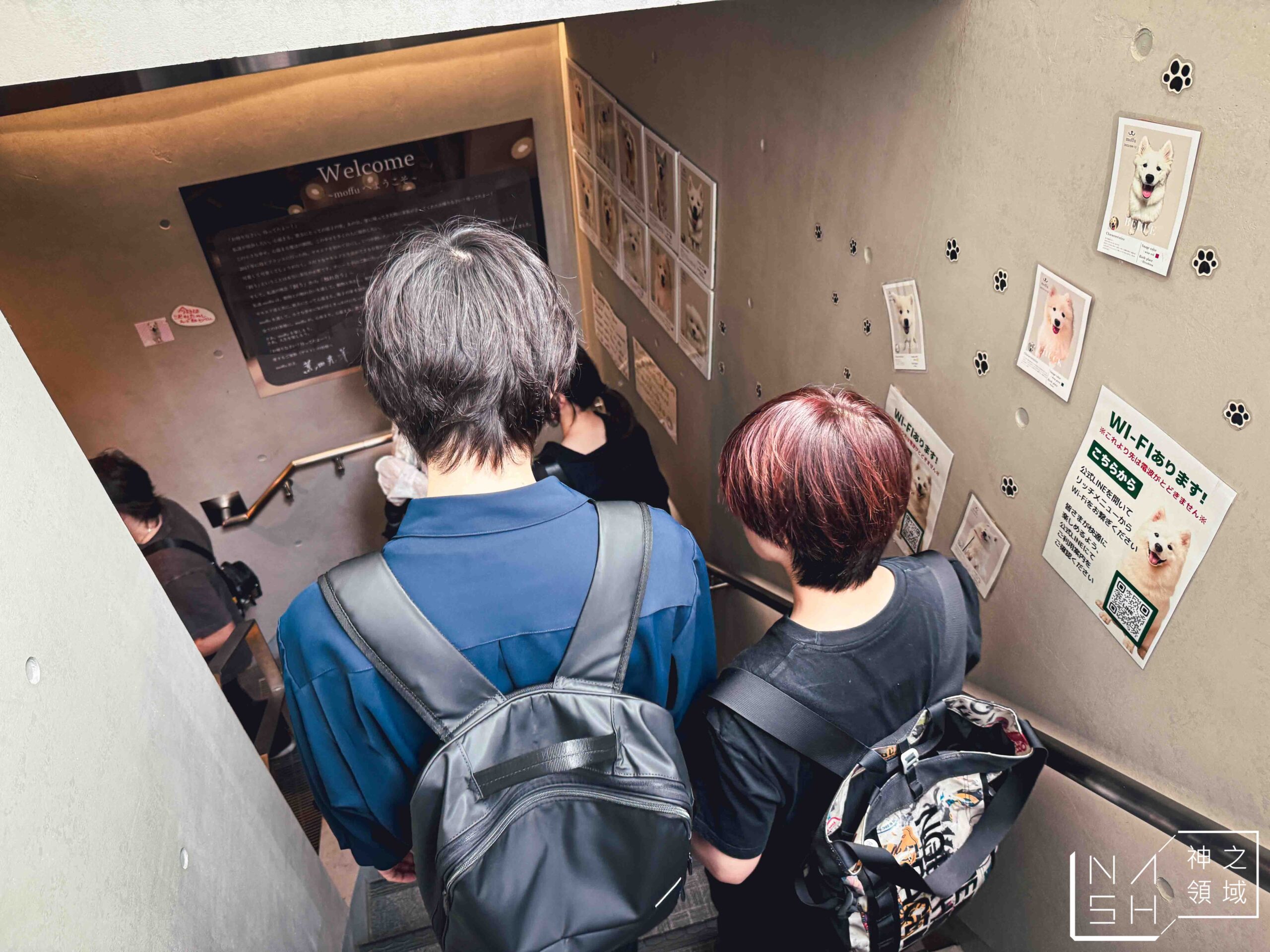 薩摩耶咖啡館 moffu 竹下街店