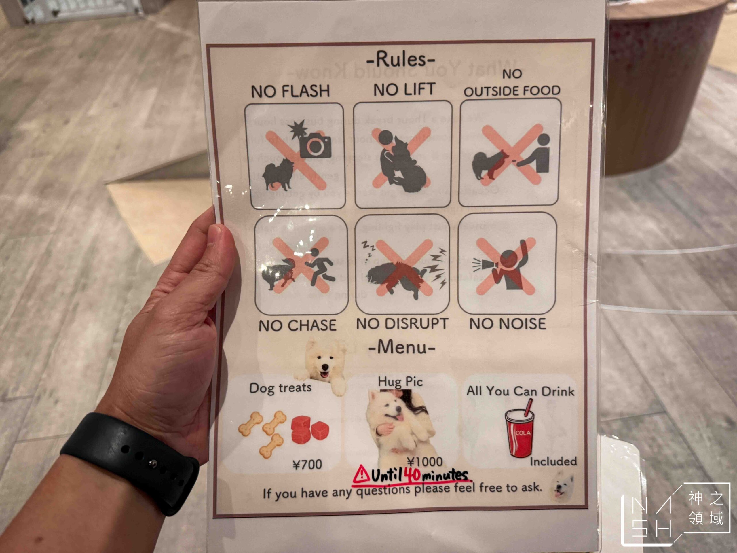 薩摩耶咖啡館 moffu 竹下街店