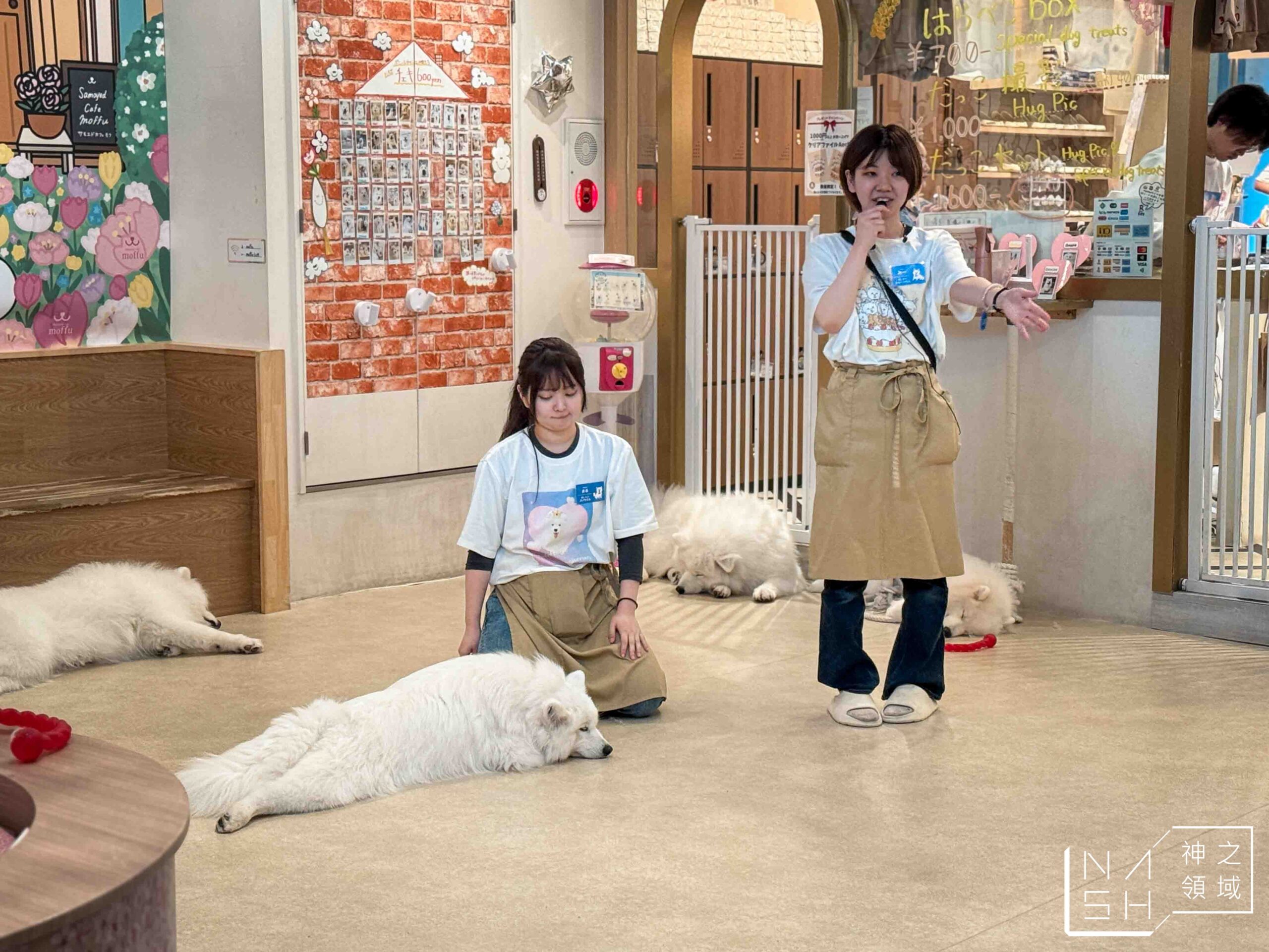 薩摩耶咖啡館 moffu 竹下街店