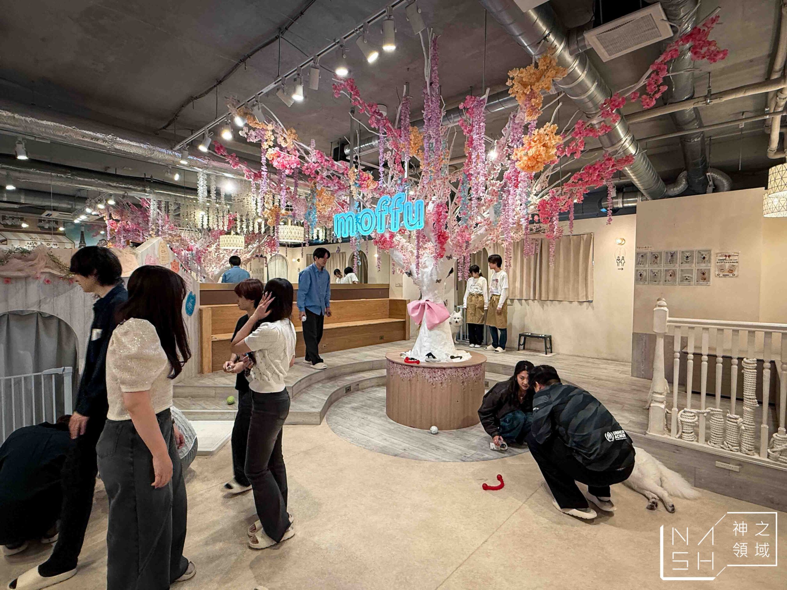 薩摩耶咖啡館 moffu 竹下街店