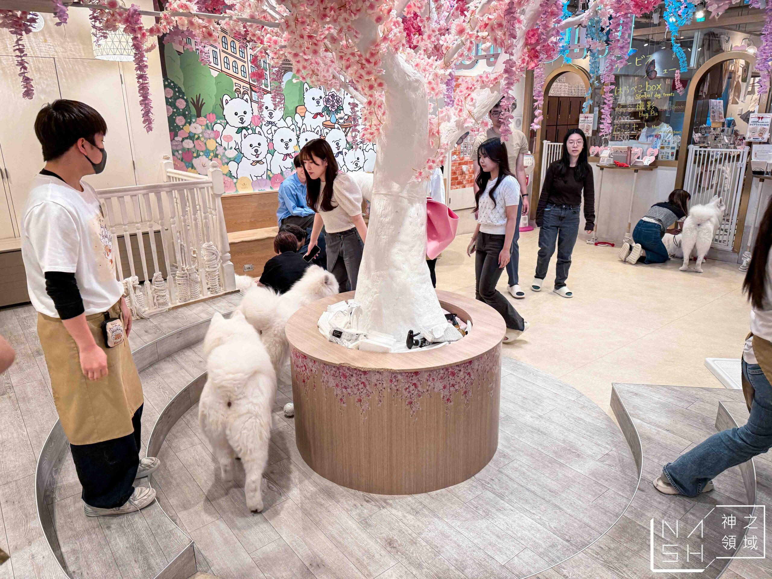 薩摩耶咖啡館 moffu 竹下街店