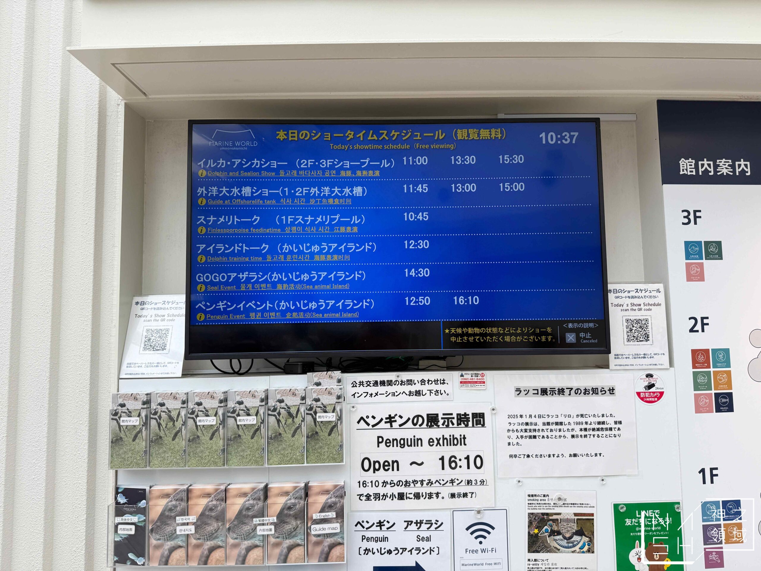 海洋世界海之中道