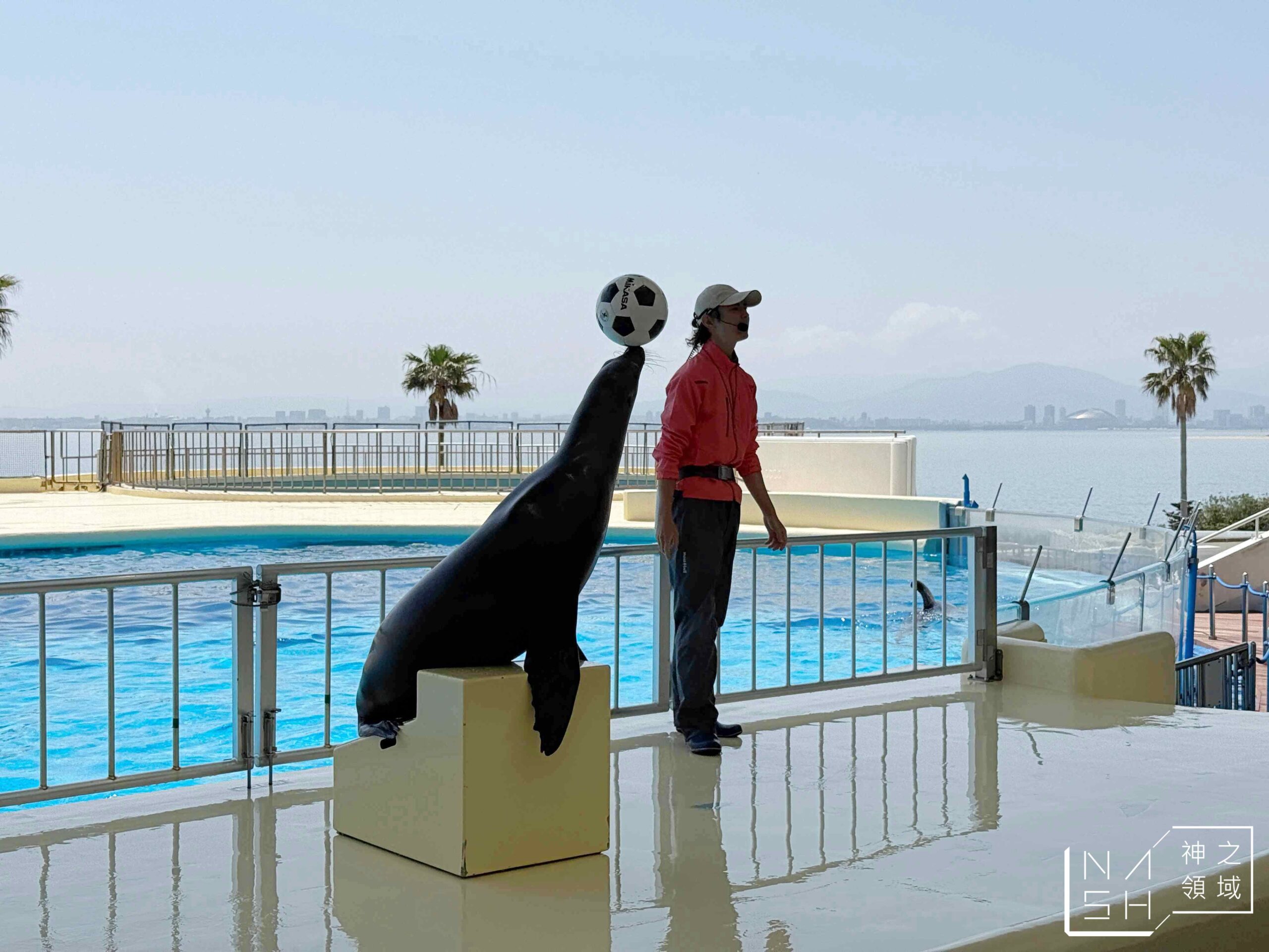 海洋世界海之中道