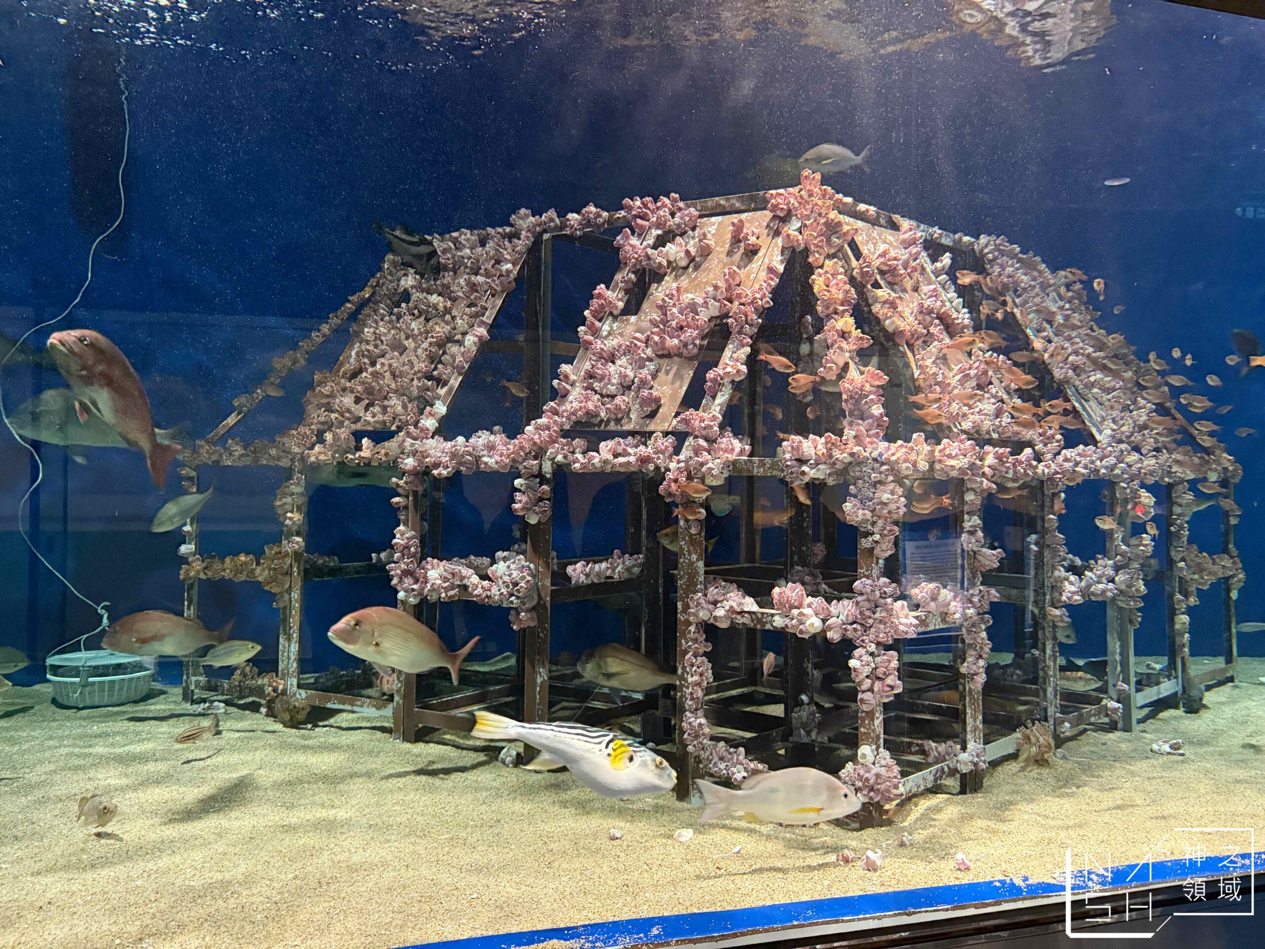海洋世界海之中道