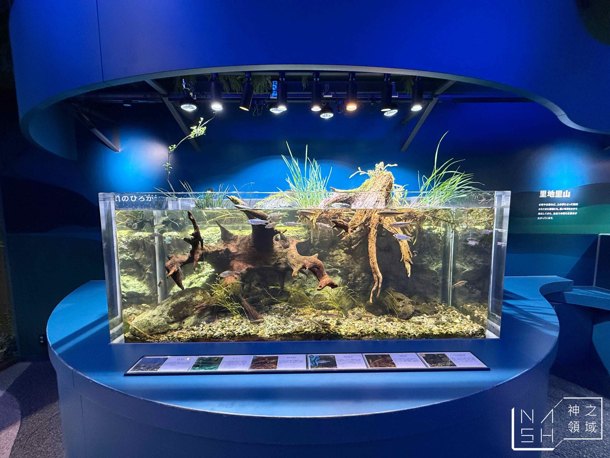 海洋世界海之中道
