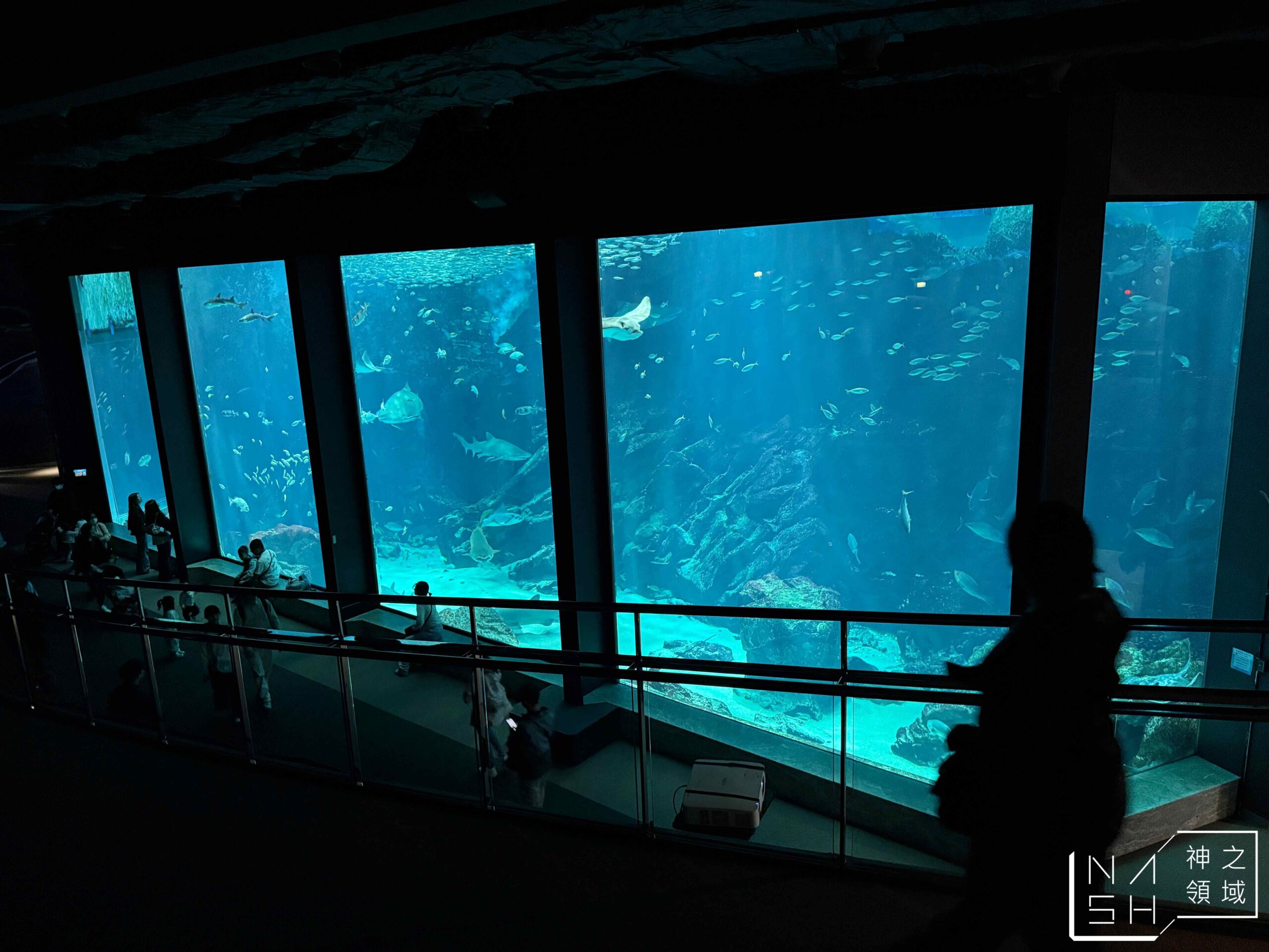 海洋世界海之中道