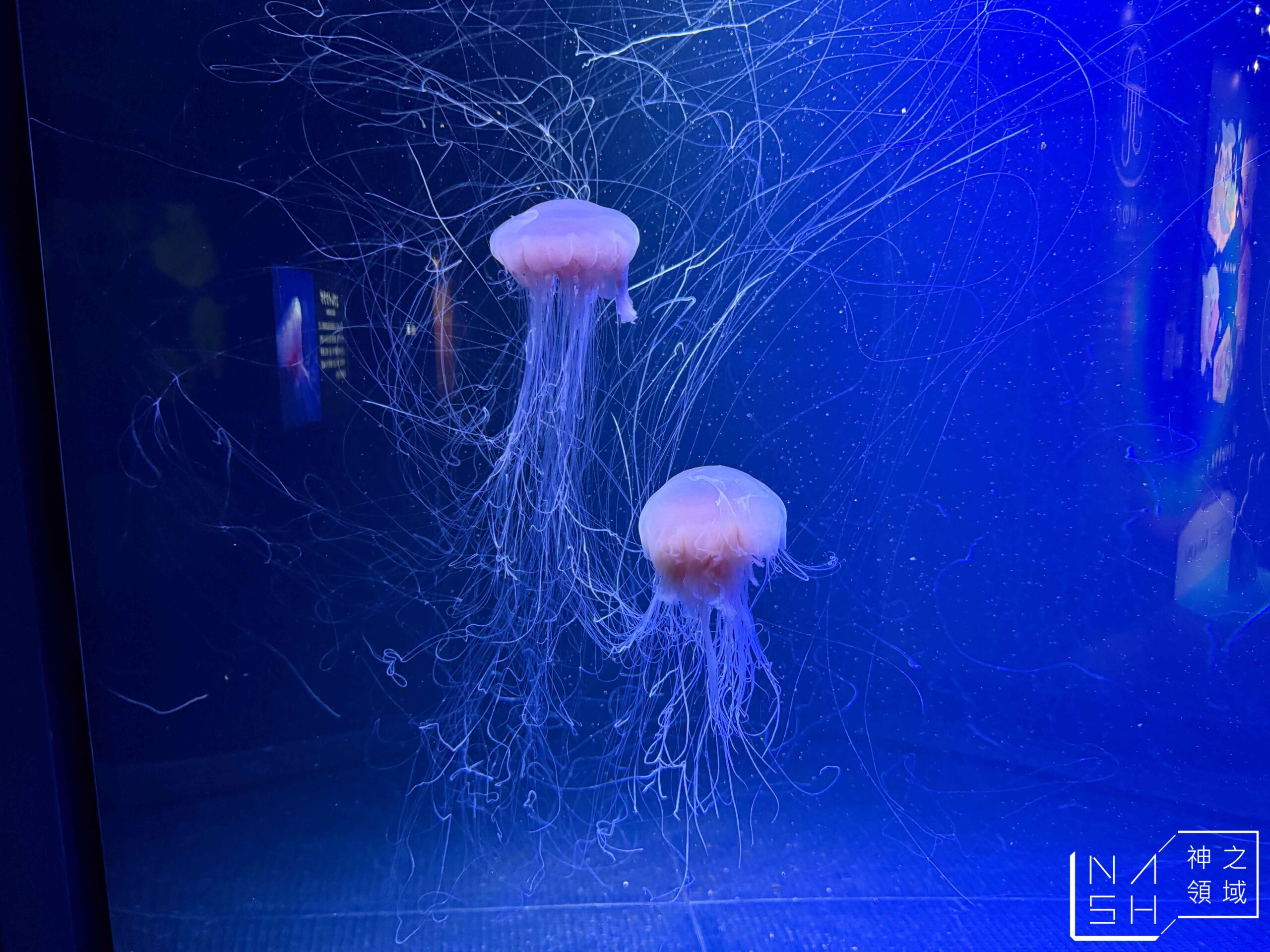 海洋世界海之中道