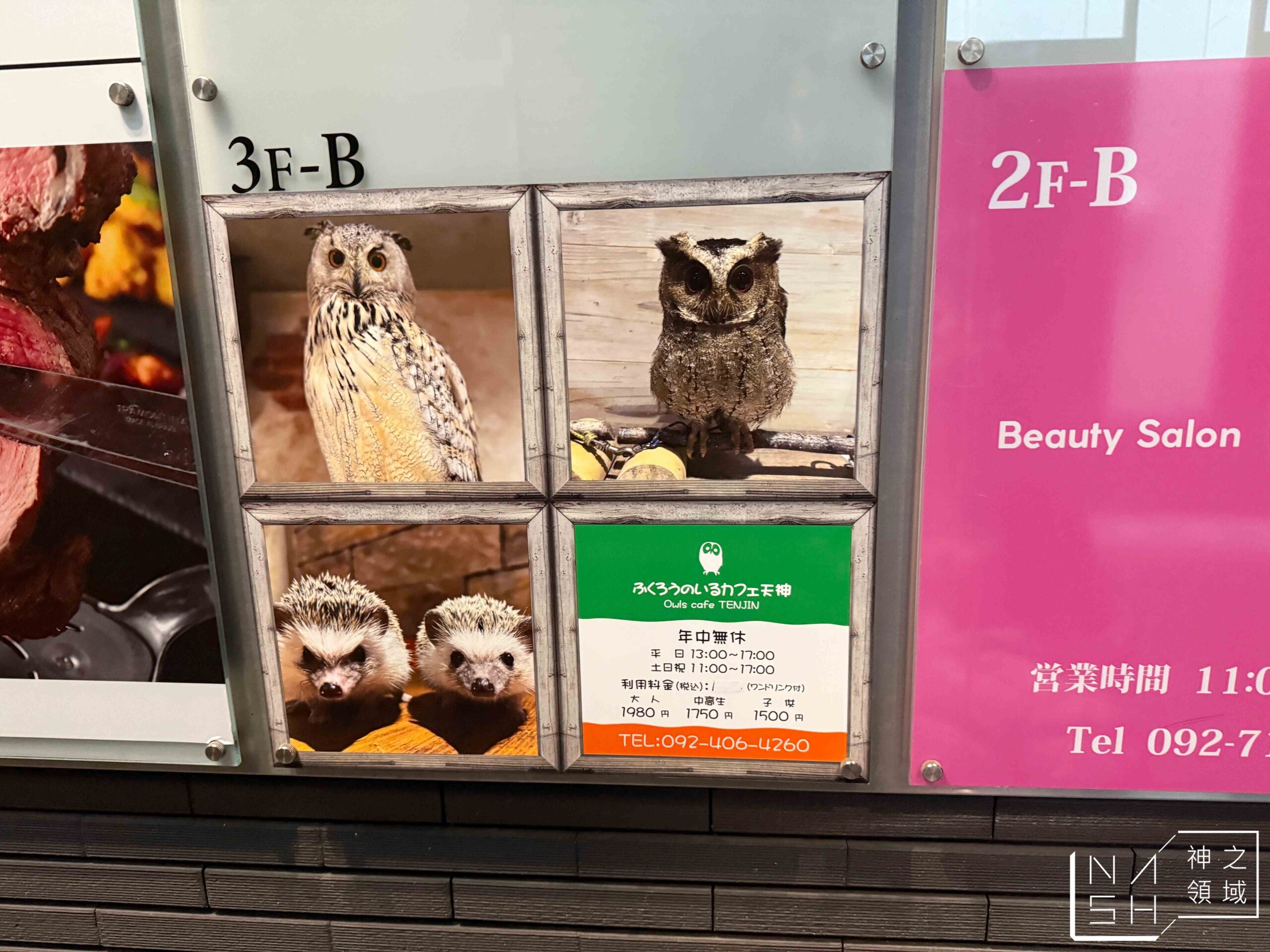 Owl Cafe Tenjin