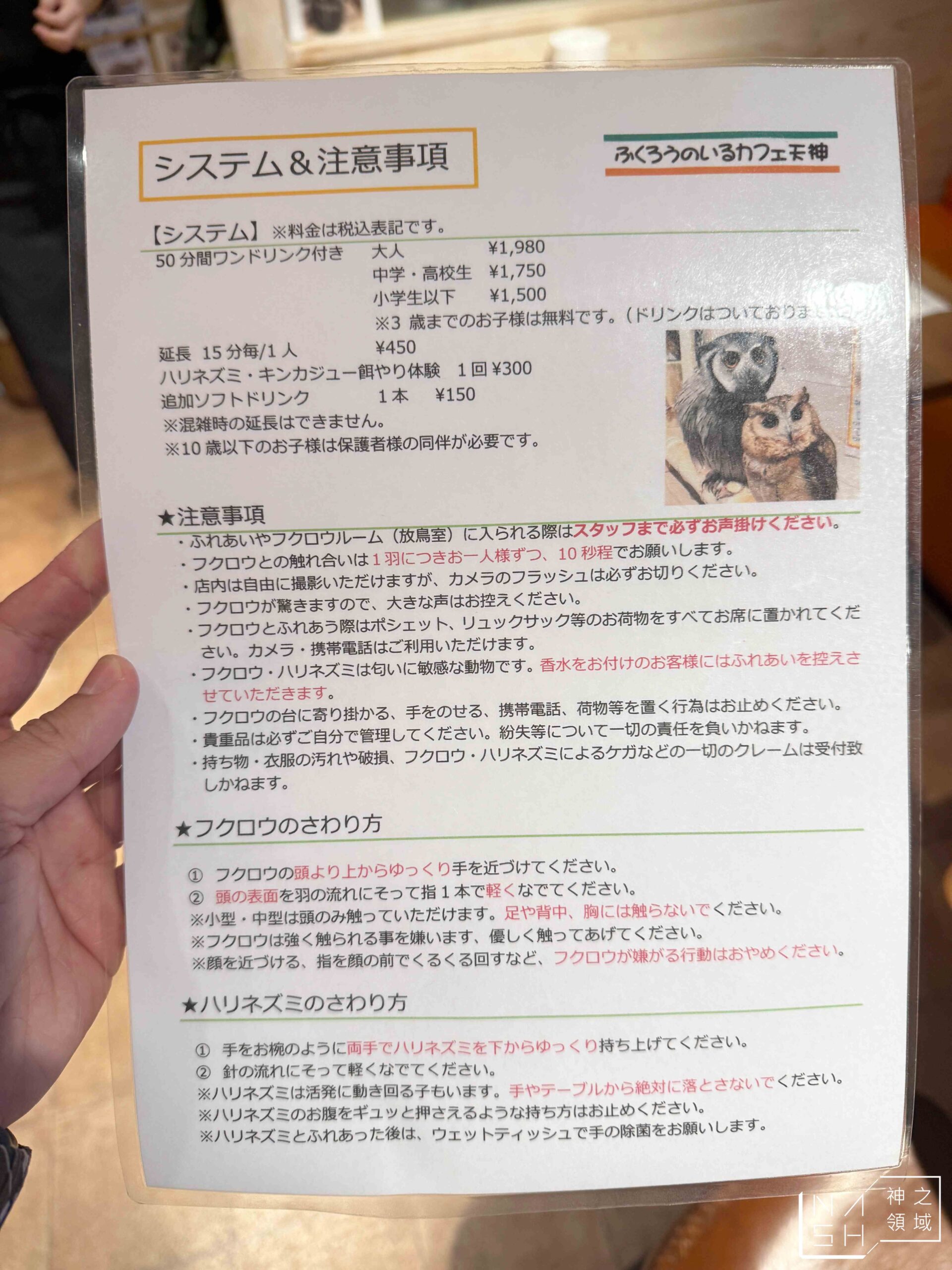 Owl Cafe Tenjin