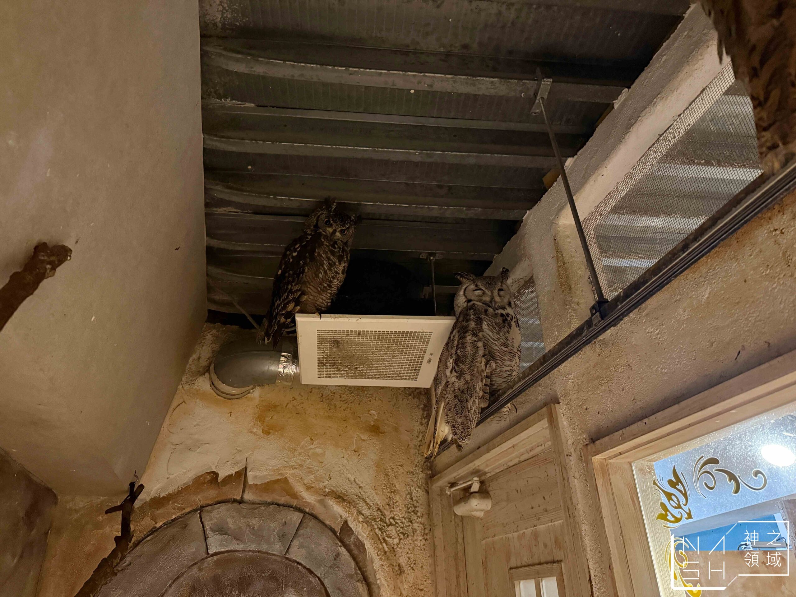 Owl Cafe Tenjin