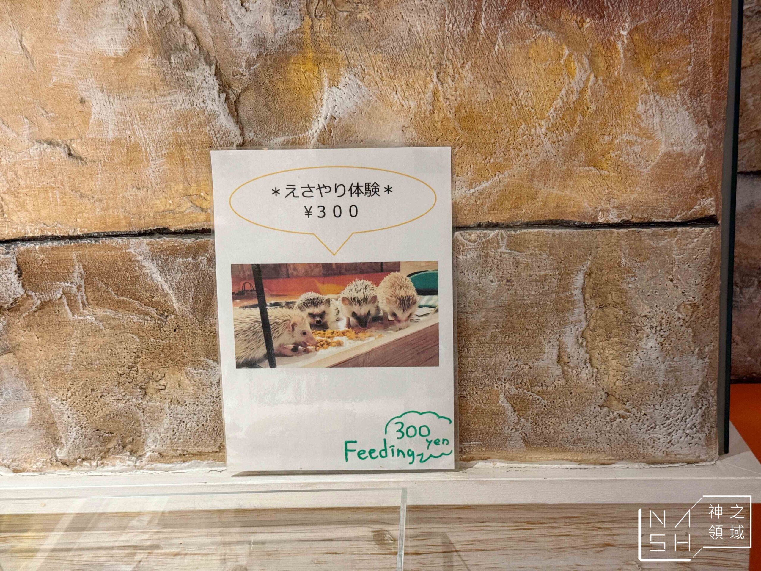 Owl Cafe Tenjin