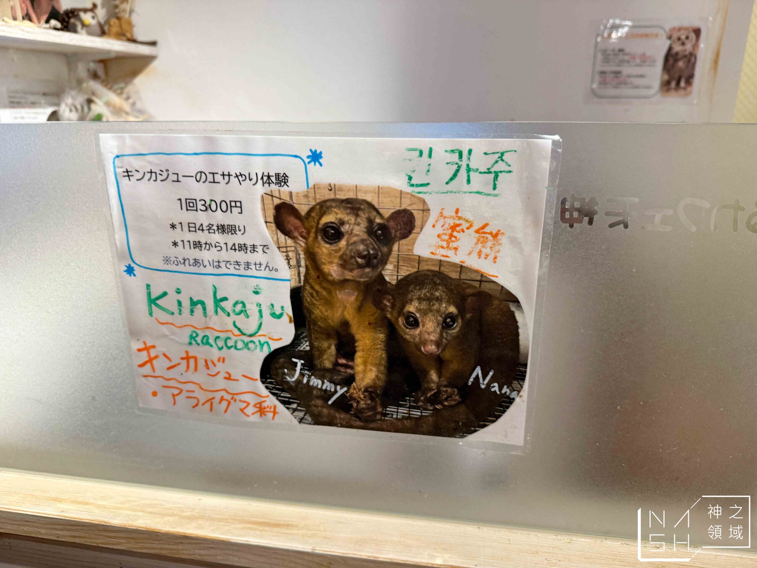 Owl Cafe Tenjin