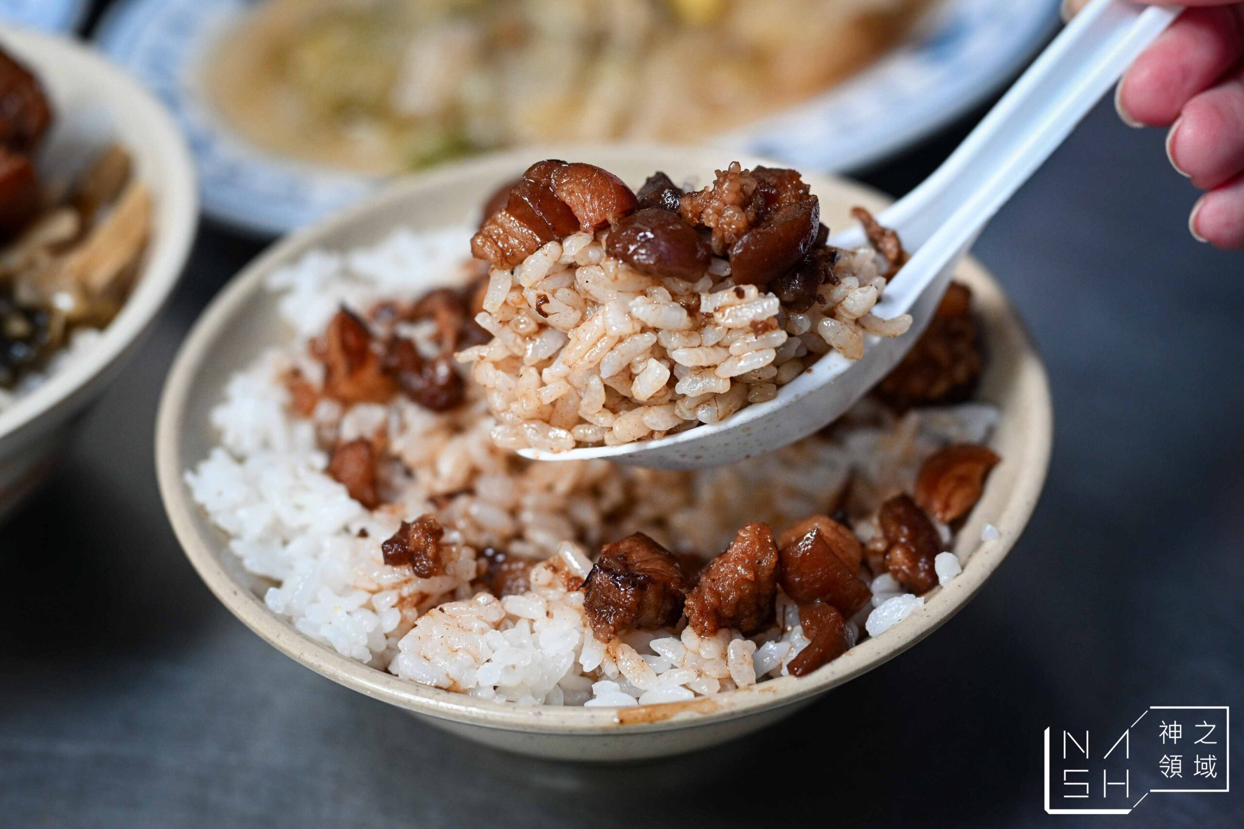 金龍焢肉飯