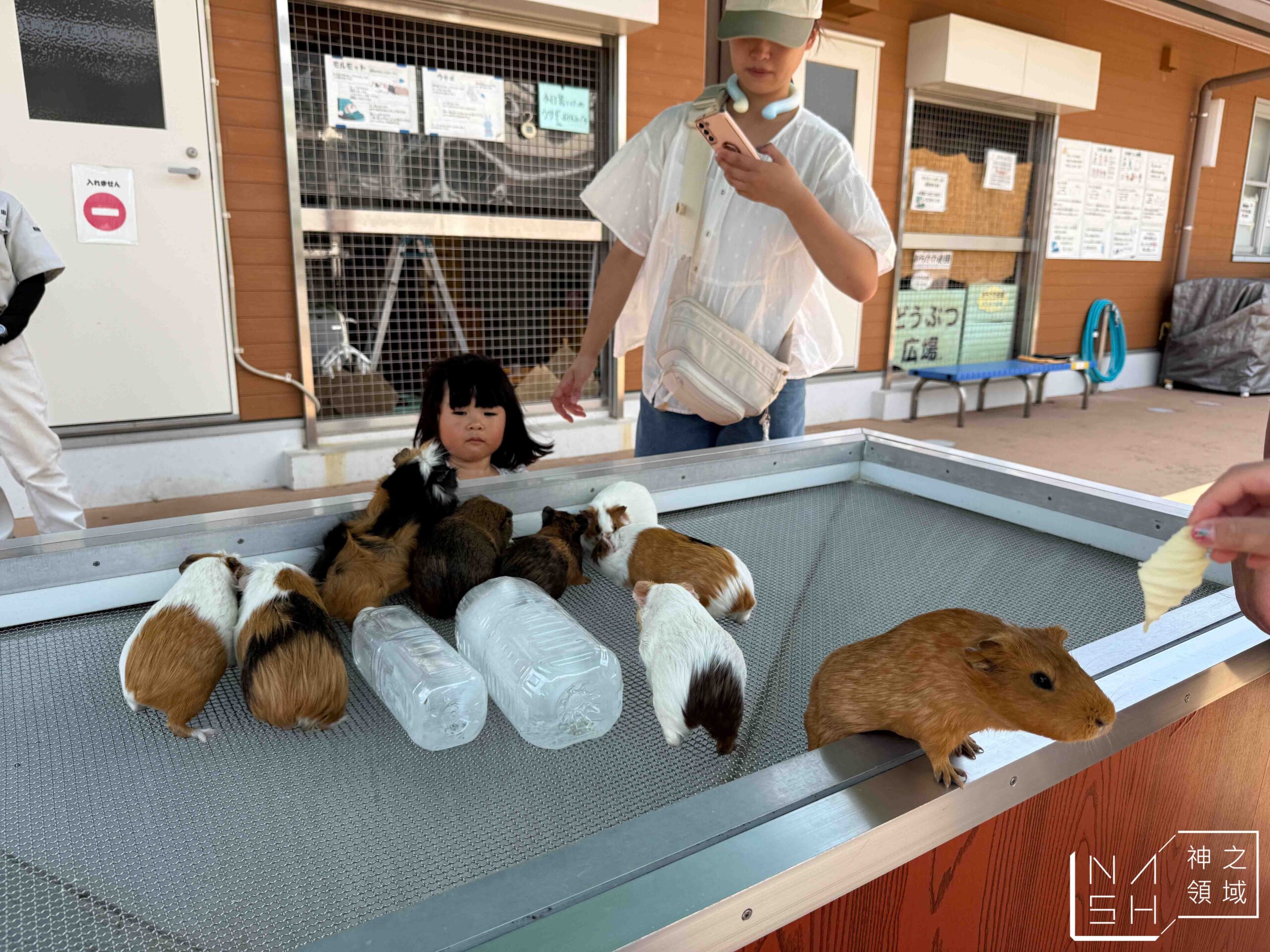 荒川遊樂園