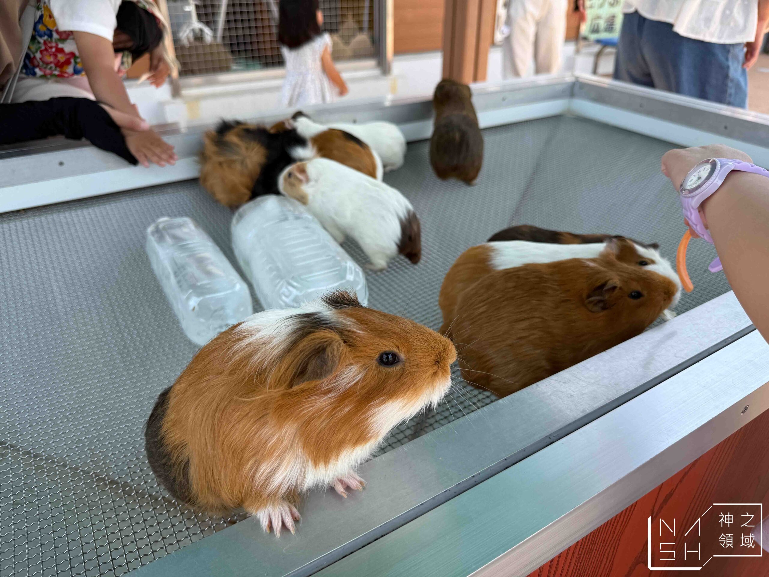 荒川遊樂園