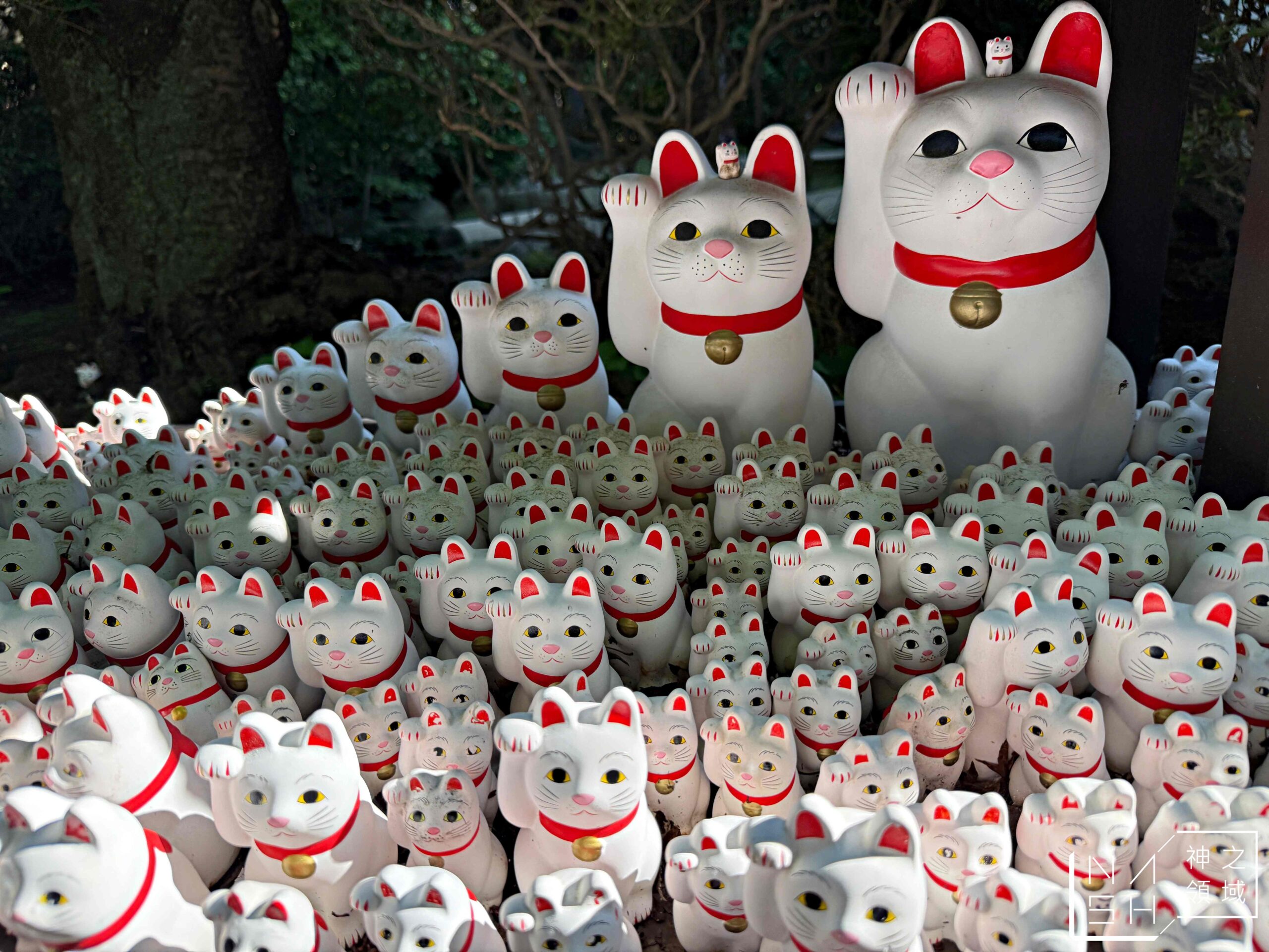 東京豪德寺