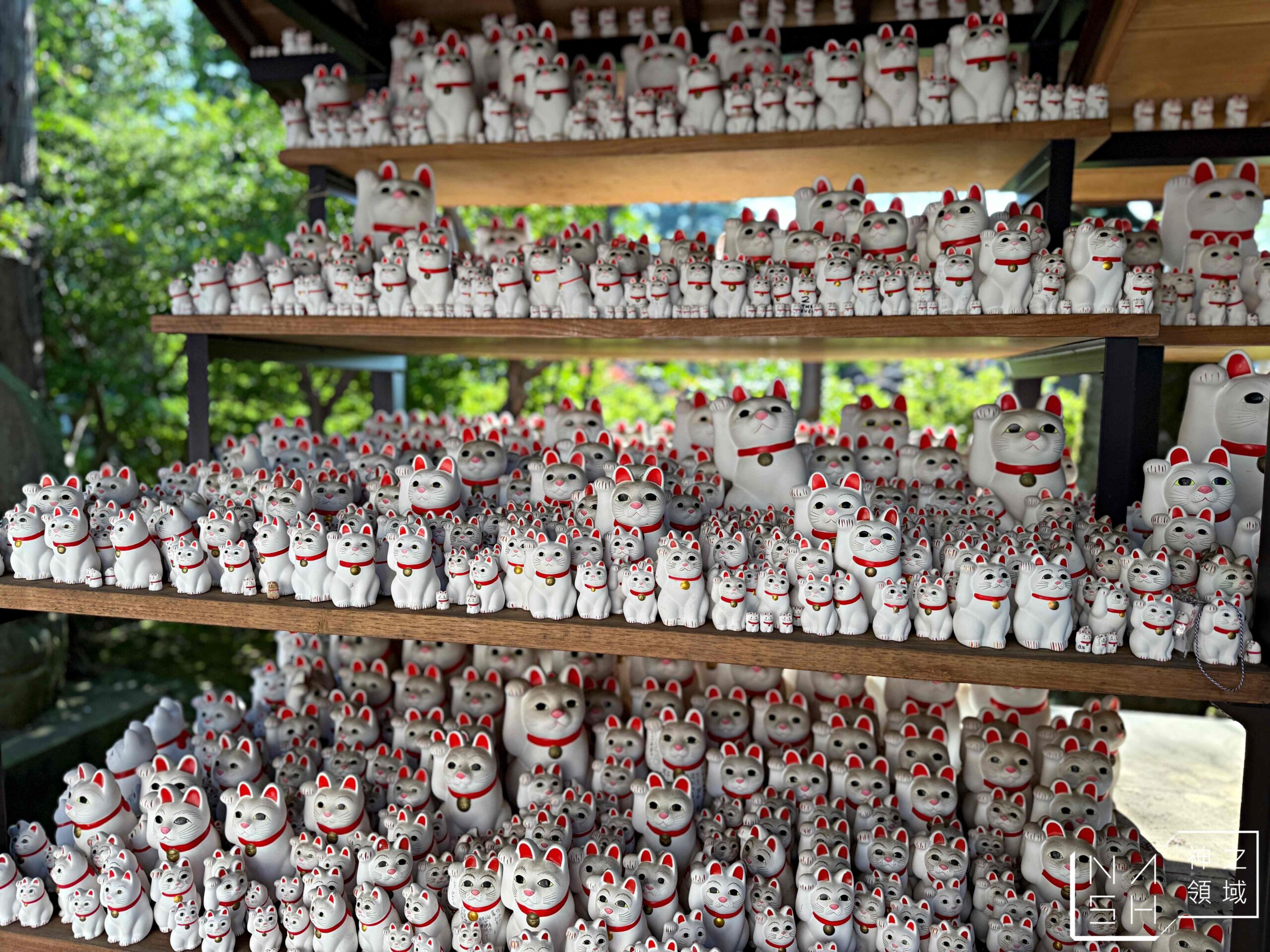 東京豪德寺