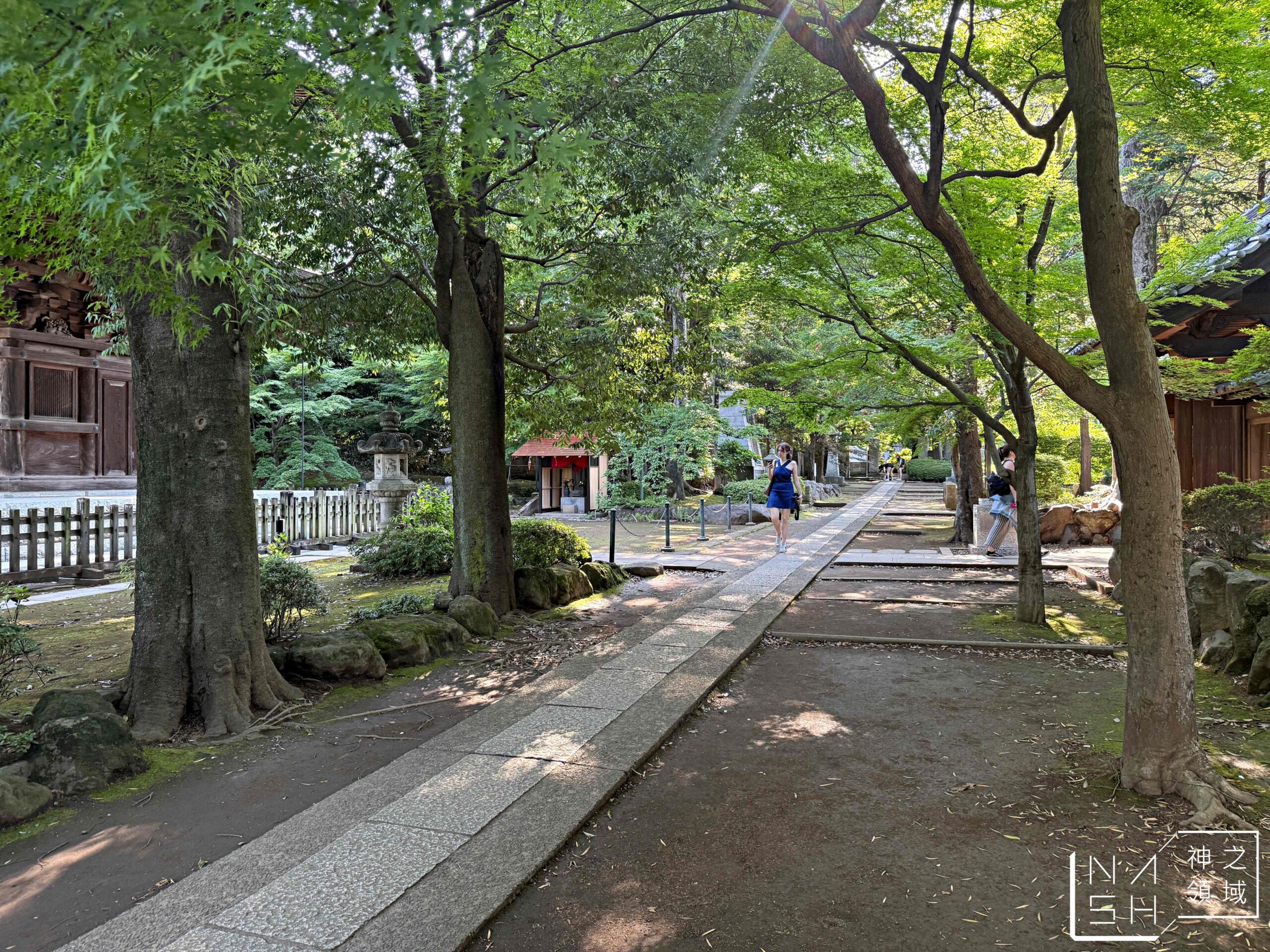 東京豪德寺