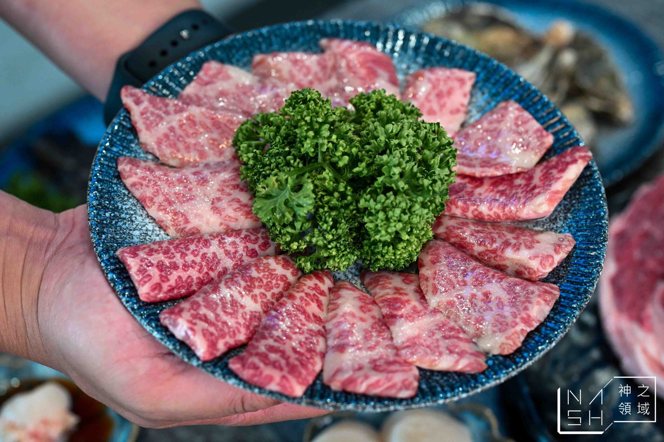 大漠紅 頂級燒肉南崁店