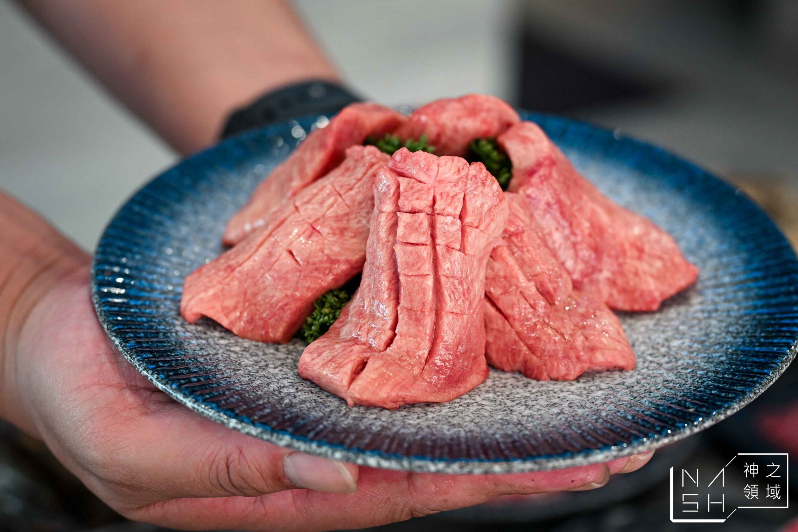 大漠紅 頂級燒肉南崁店