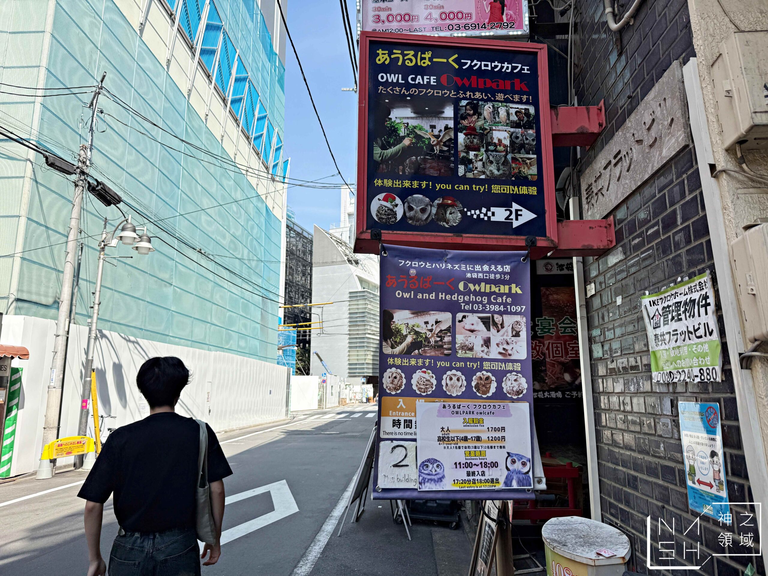 Owlpark貓頭鷹咖啡館