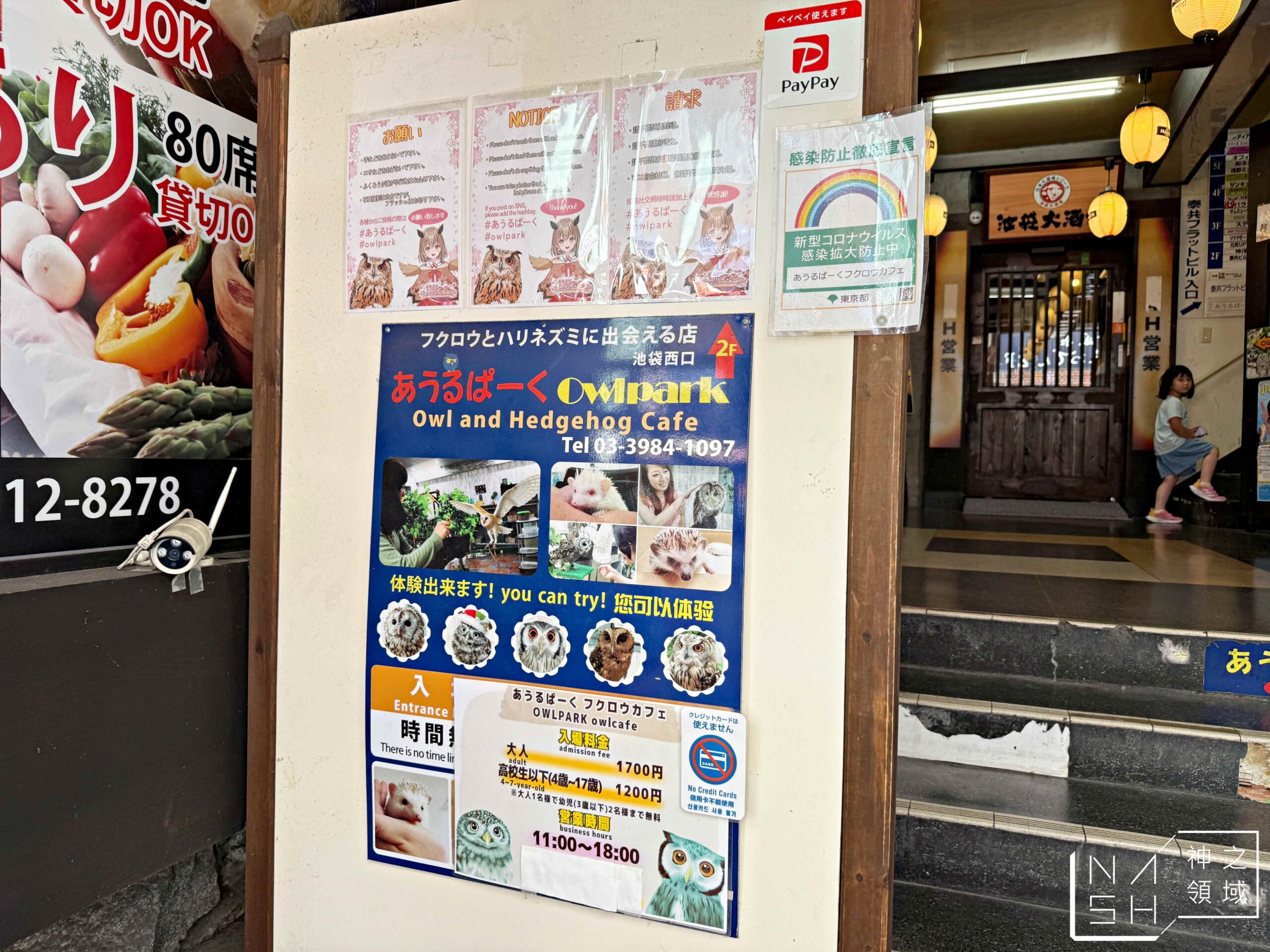 Owlpark貓頭鷹咖啡館
