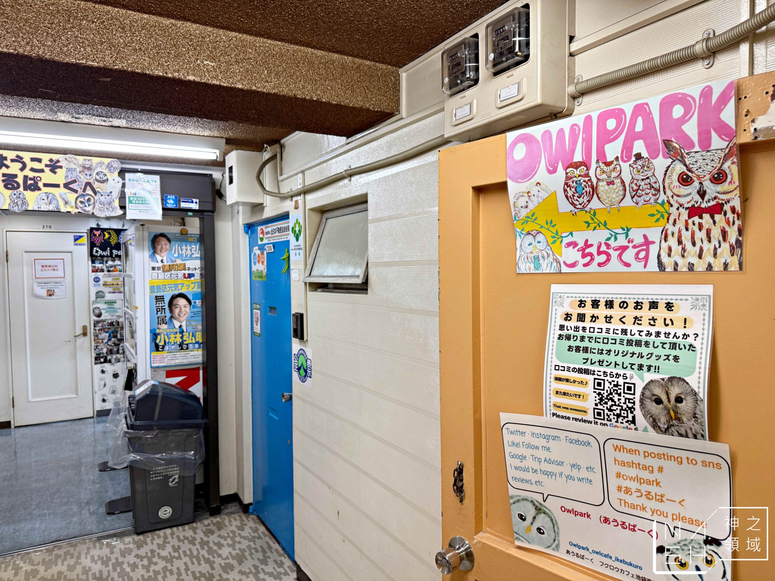 Owlpark貓頭鷹咖啡館