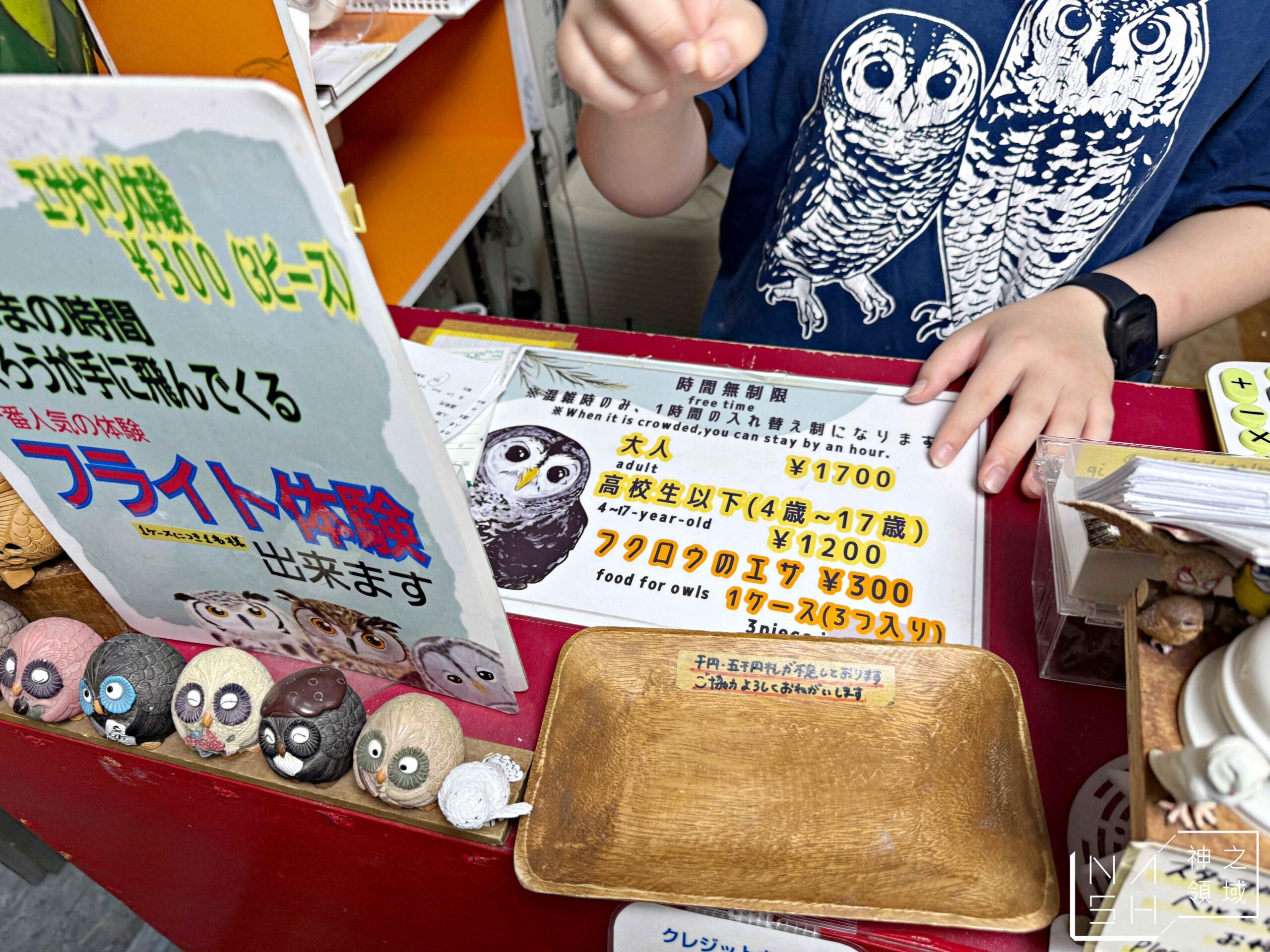 Owlpark貓頭鷹咖啡館
