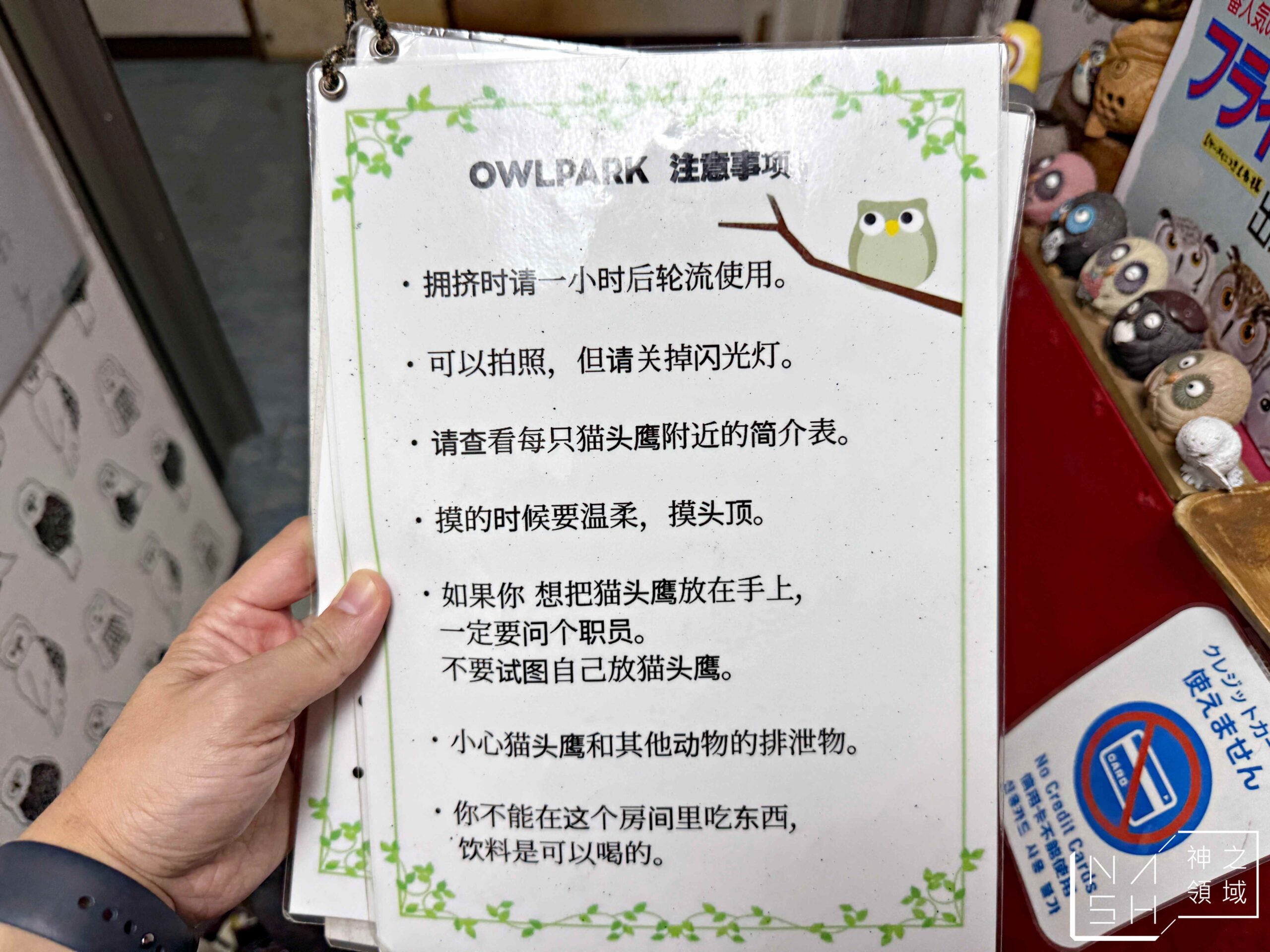 Owlpark貓頭鷹咖啡館