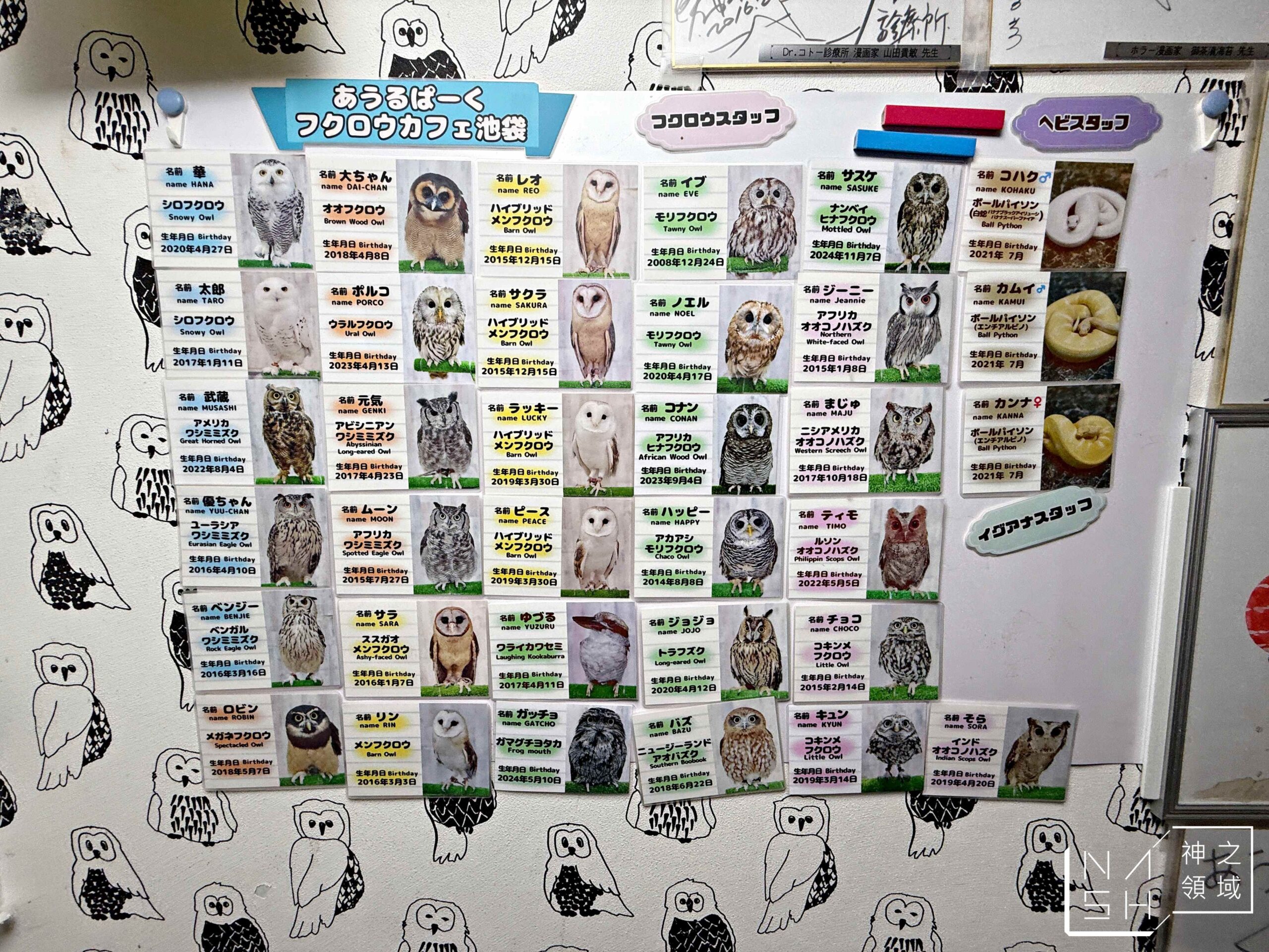 Owlpark貓頭鷹咖啡館