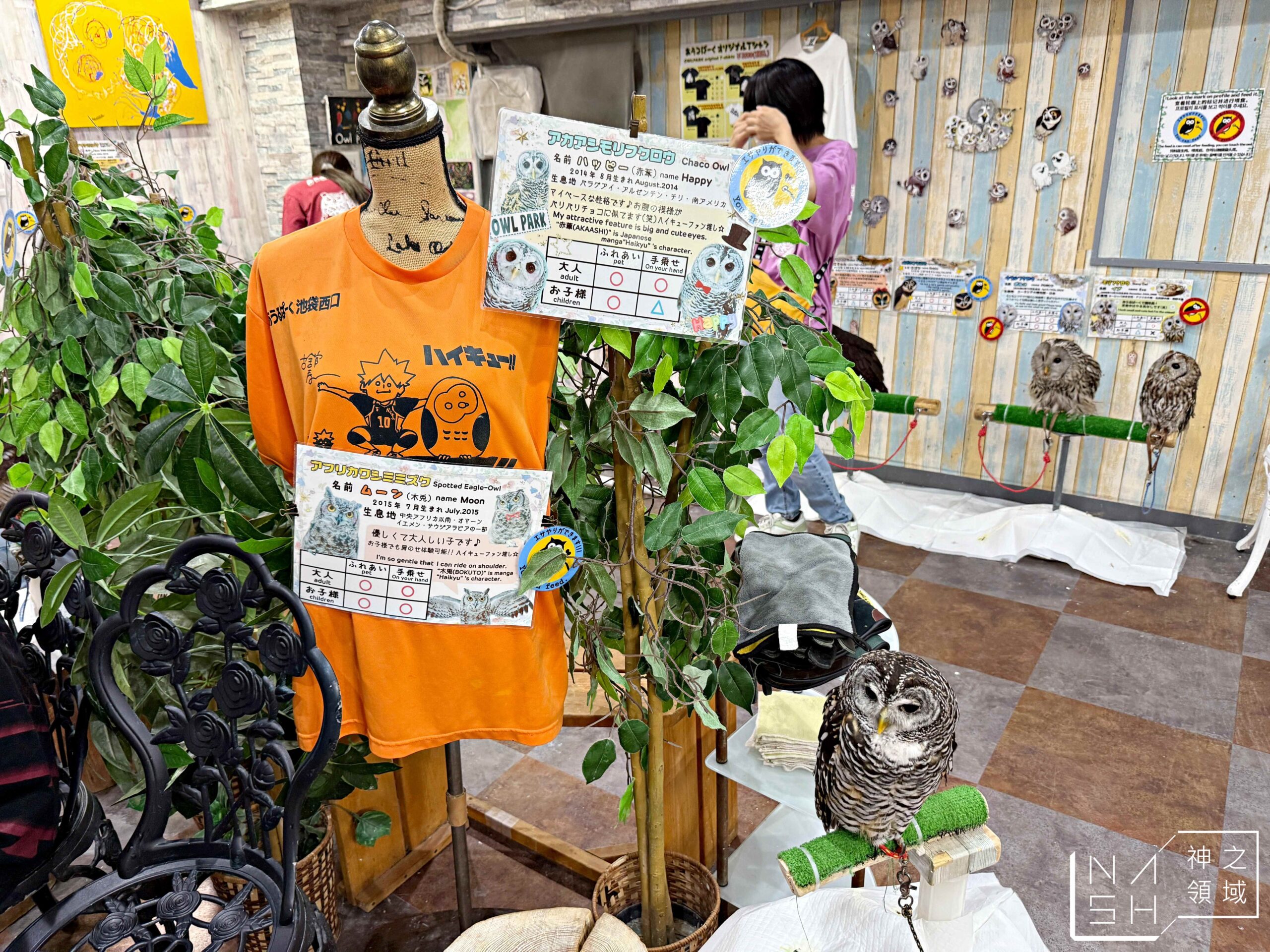 Owlpark貓頭鷹咖啡館
