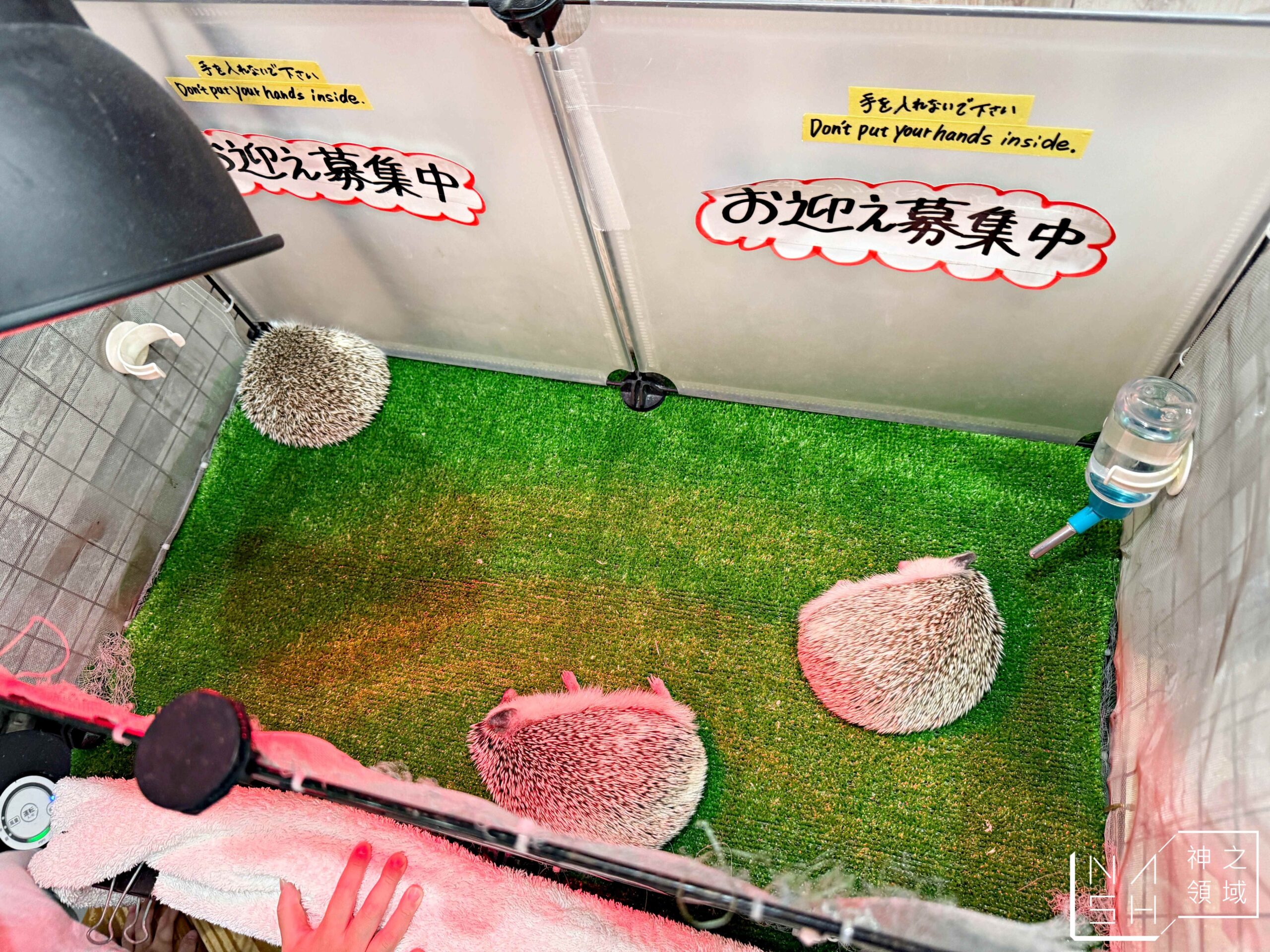 Owlpark貓頭鷹咖啡館