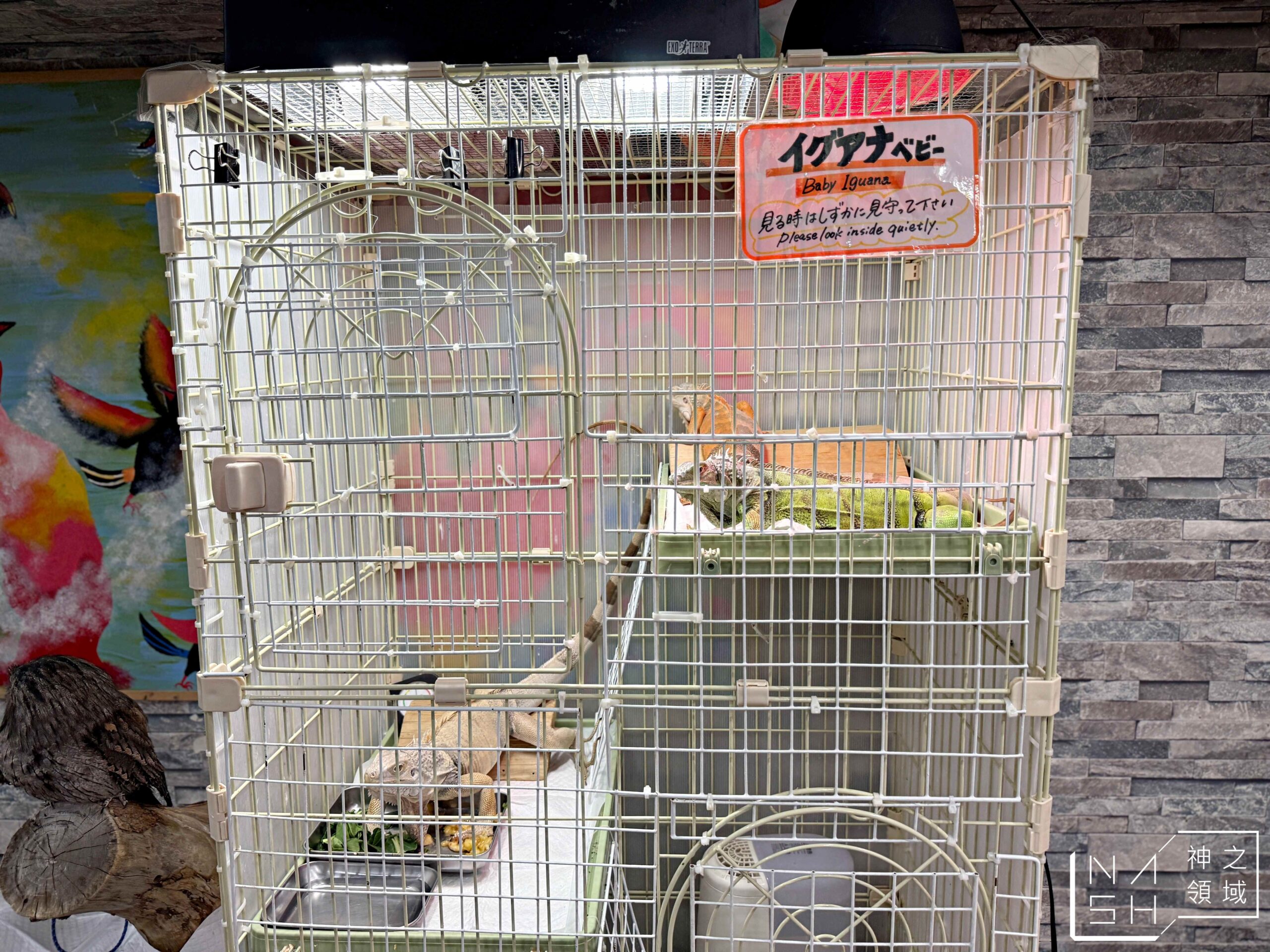 Owlpark貓頭鷹咖啡館