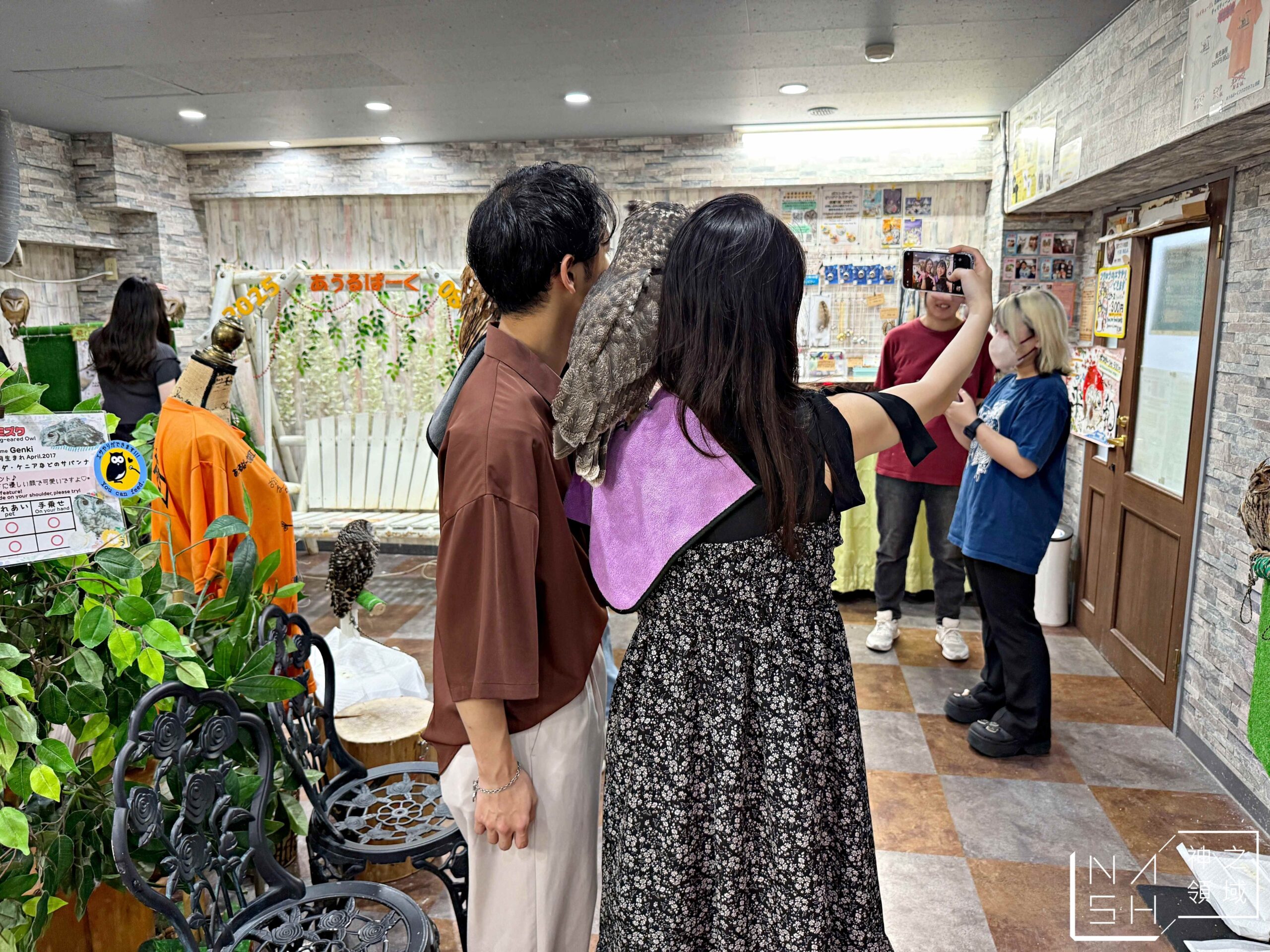 Owlpark貓頭鷹咖啡館