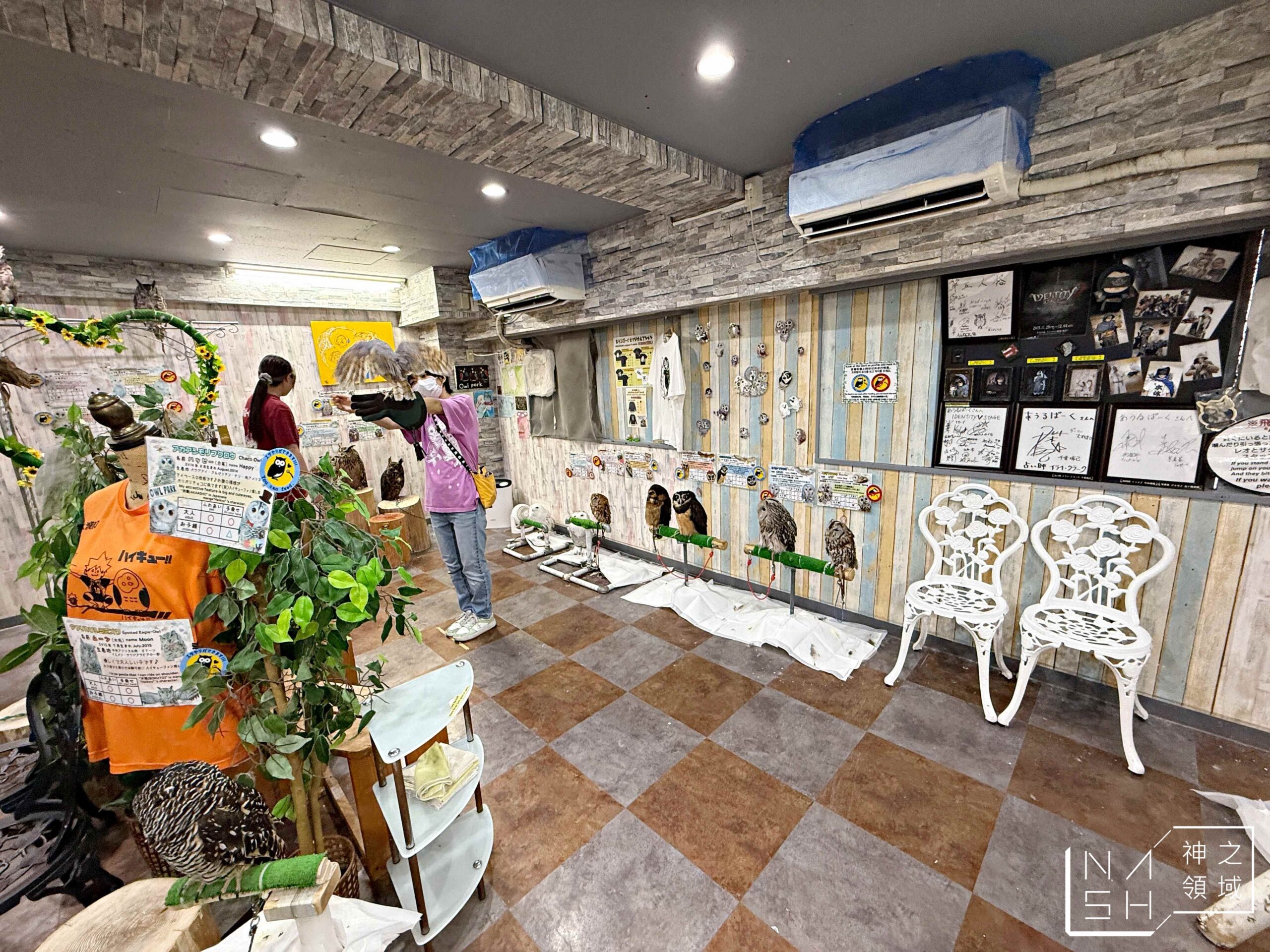 Owlpark貓頭鷹咖啡館