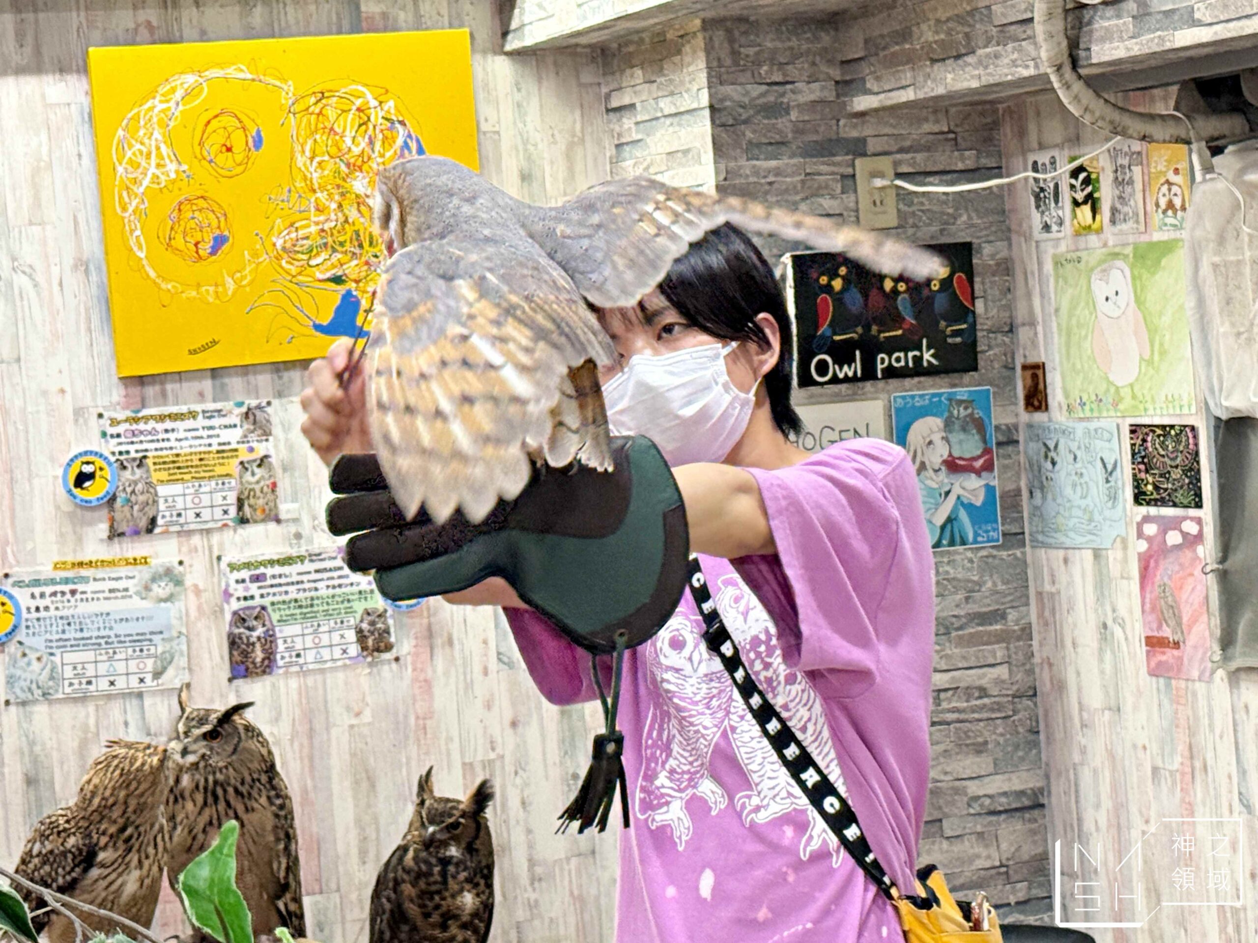 Owlpark貓頭鷹咖啡館