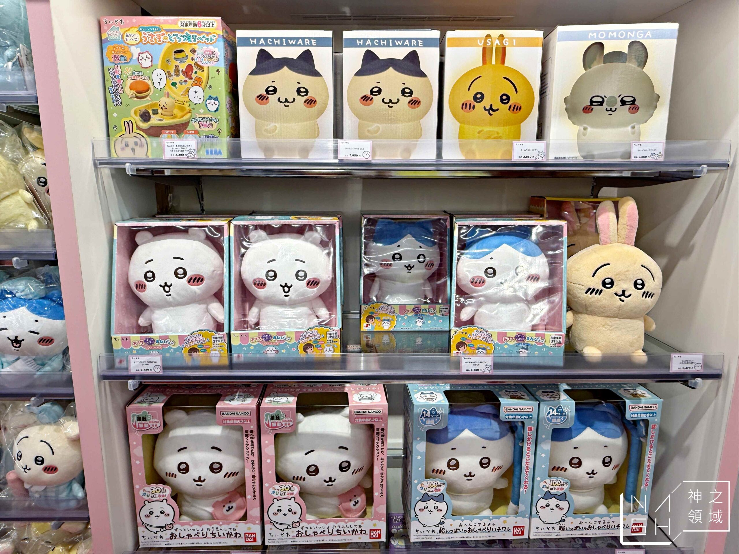 KIDDY LAND