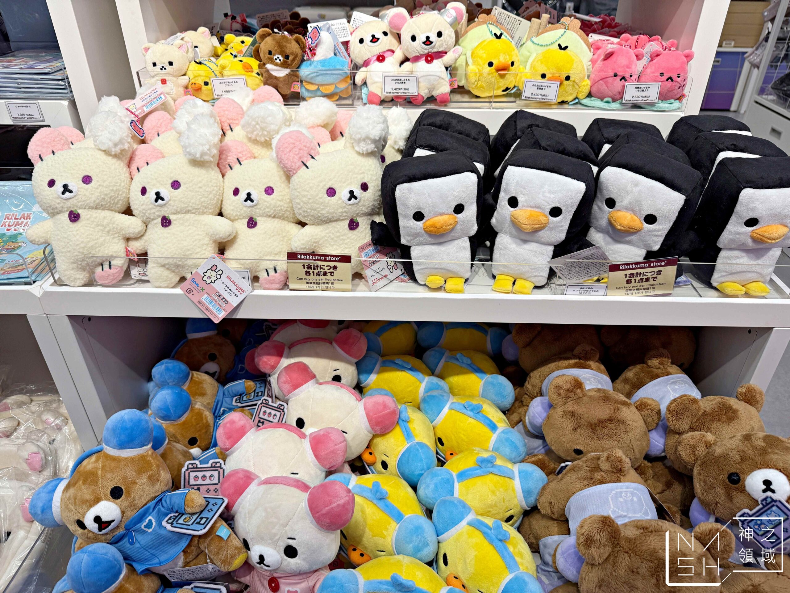 KIDDY LAND