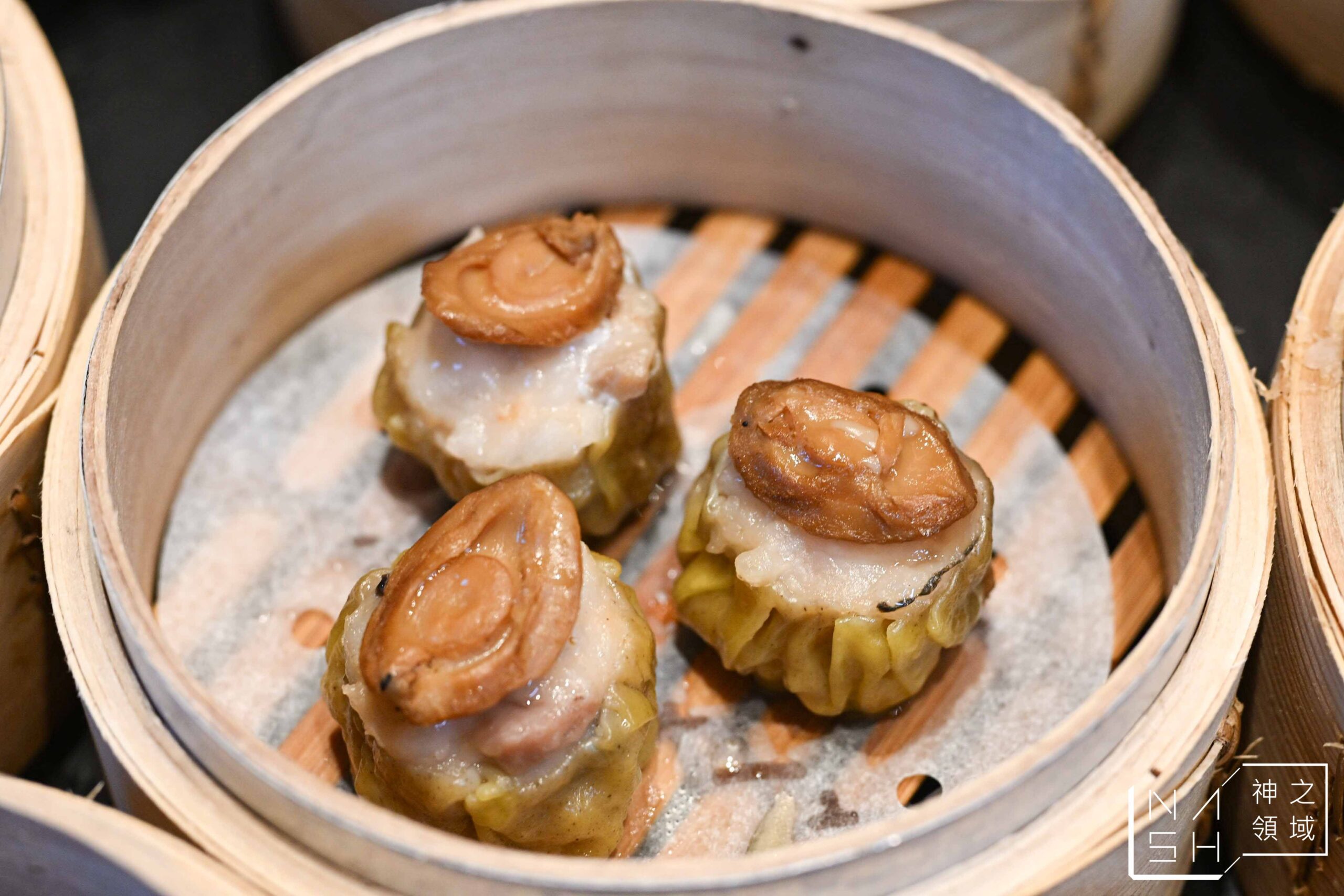  @Nash，神之領域