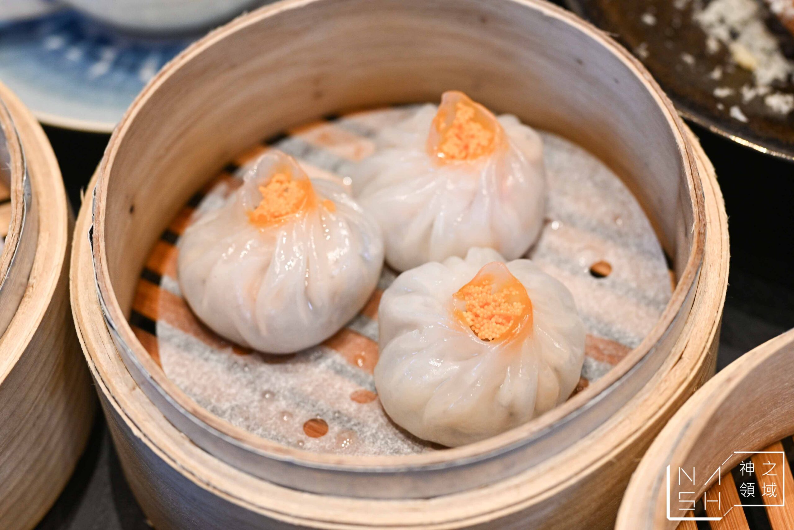  @Nash，神之領域