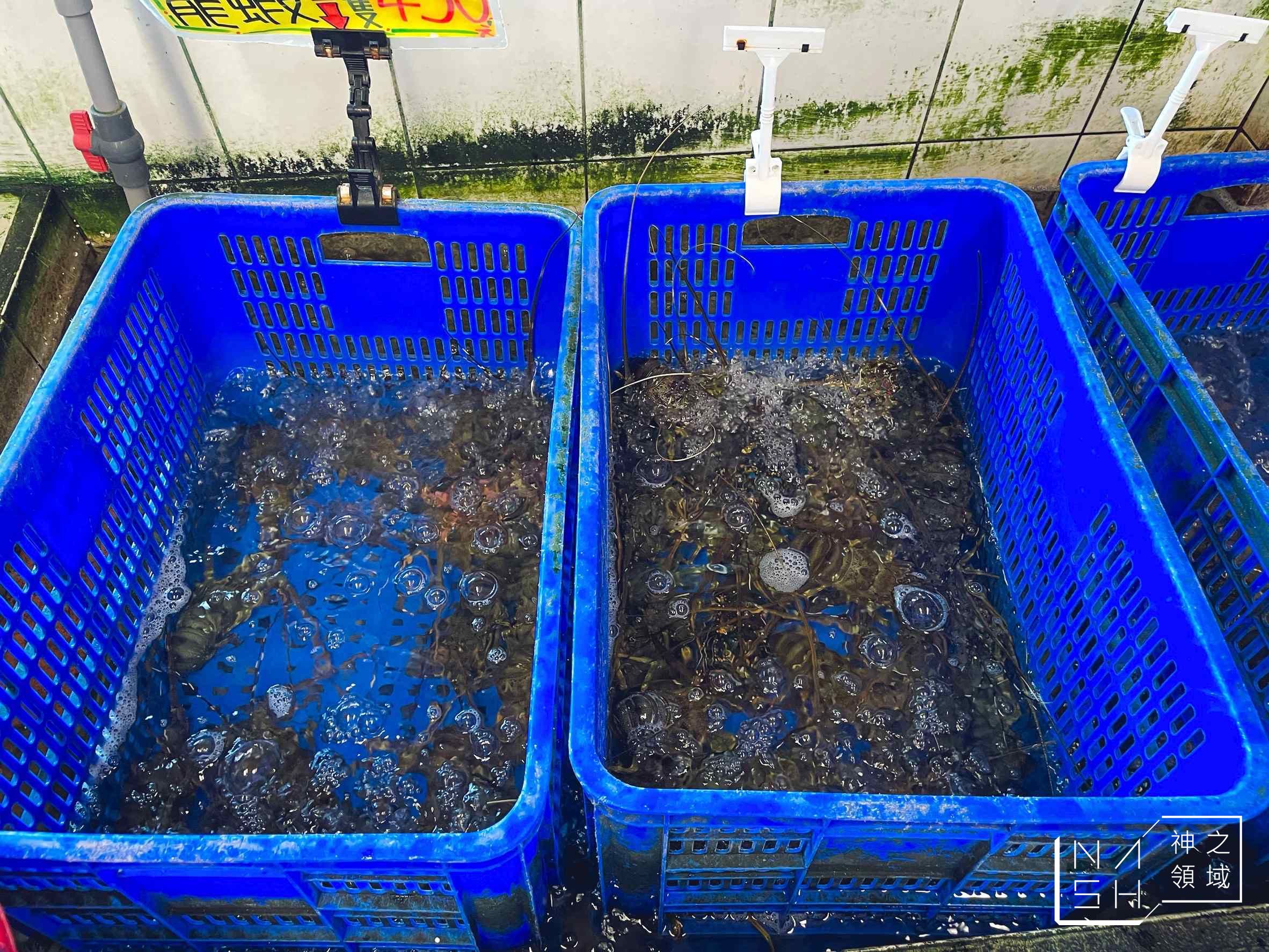 055龍蝦海鮮