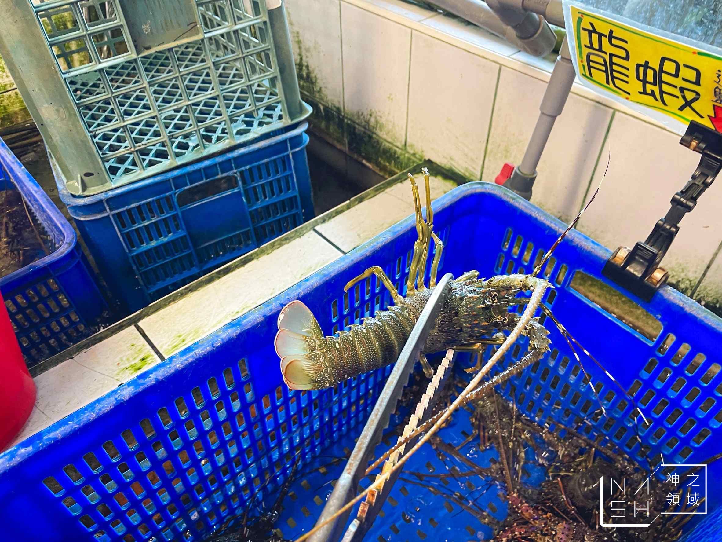 055龍蝦海鮮