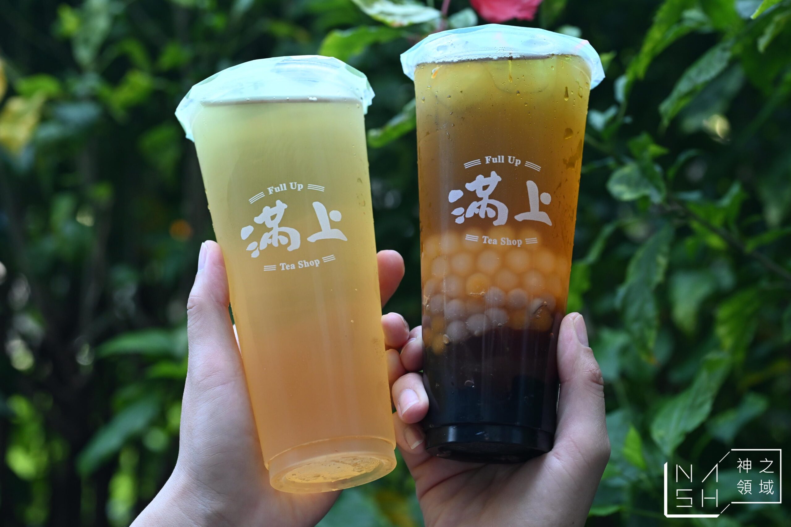  @Nash，神之領域