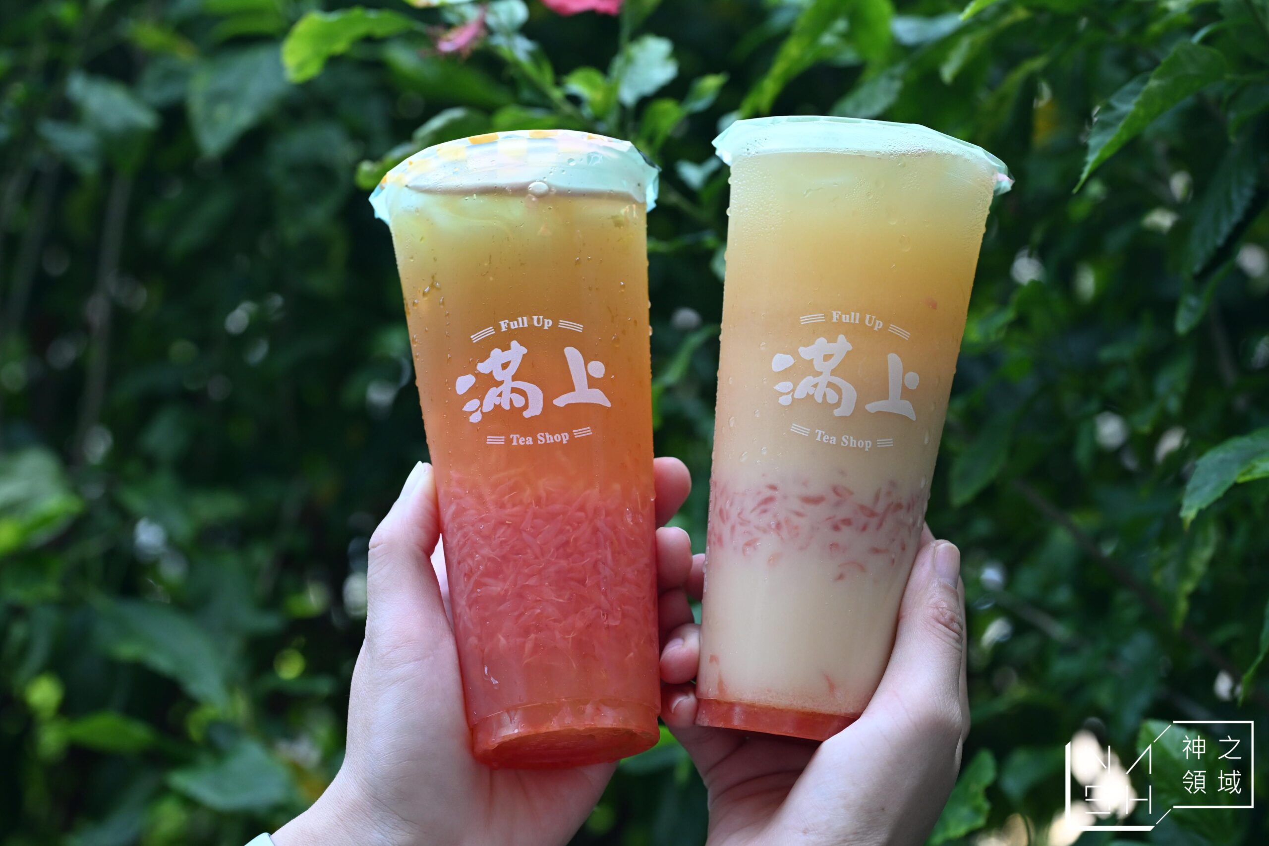  @Nash，神之領域