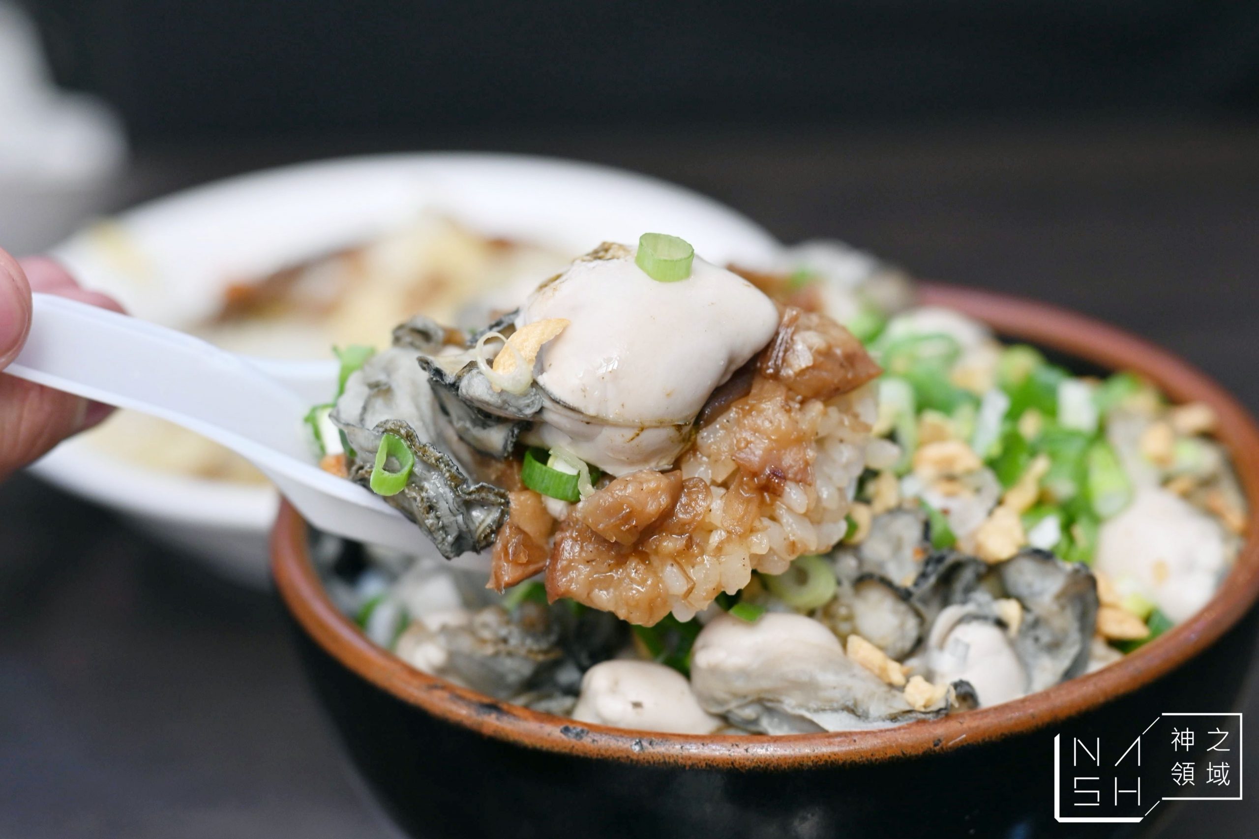 阿義魯肉飯